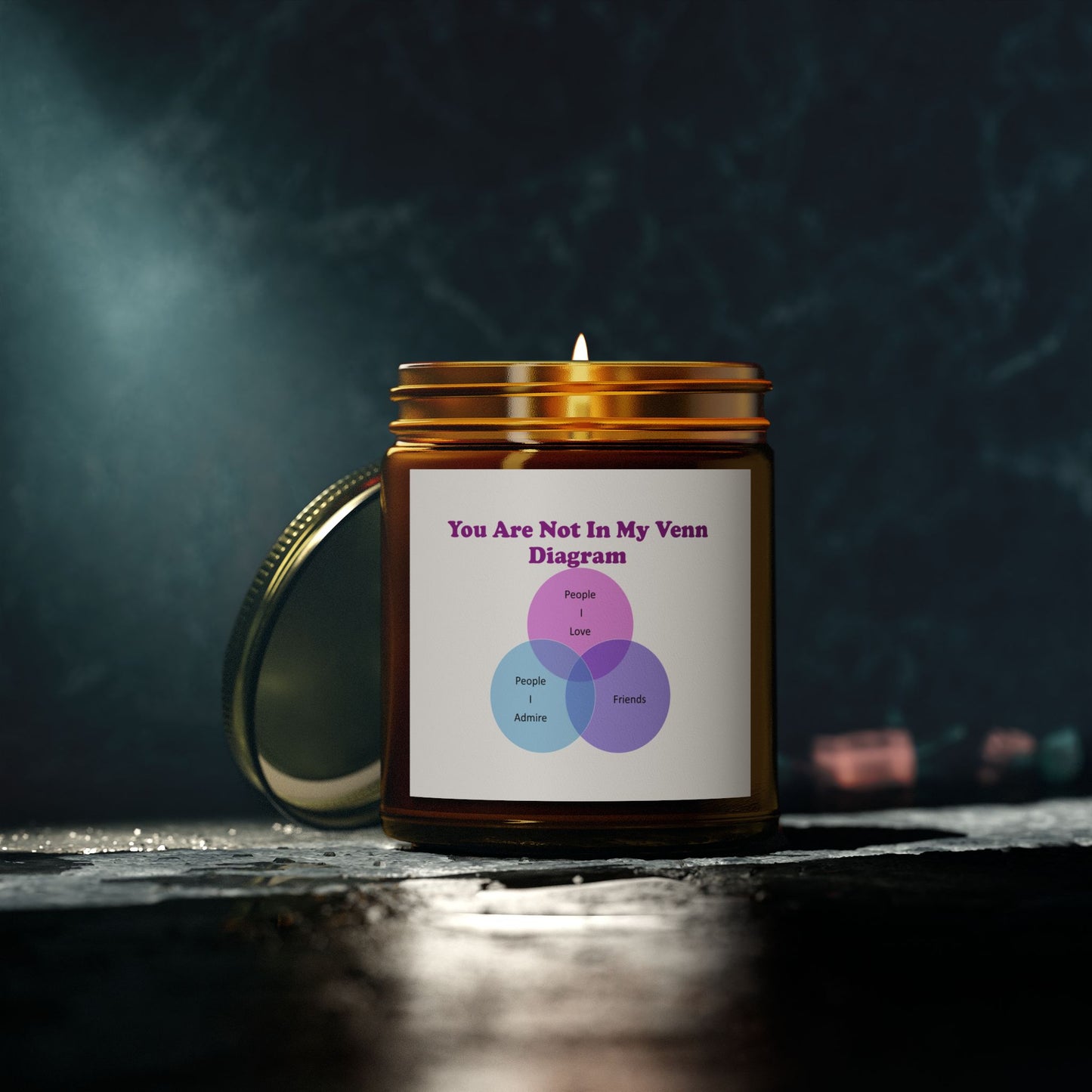 You Are Not In My Venn Diagram Blue / Purple Scented Candles, Coconut Apricot Wax (4oz, 9oz)
