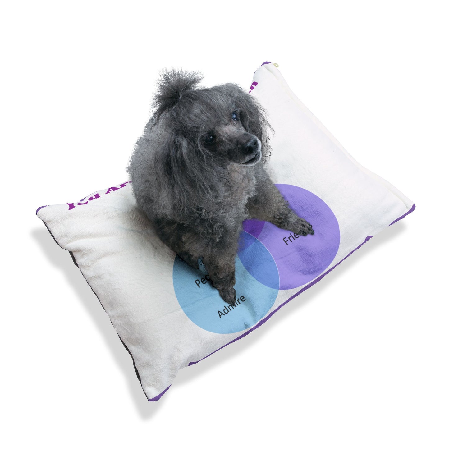 You Are Not In My Venn Diagram Blue / Purple Pet Bed