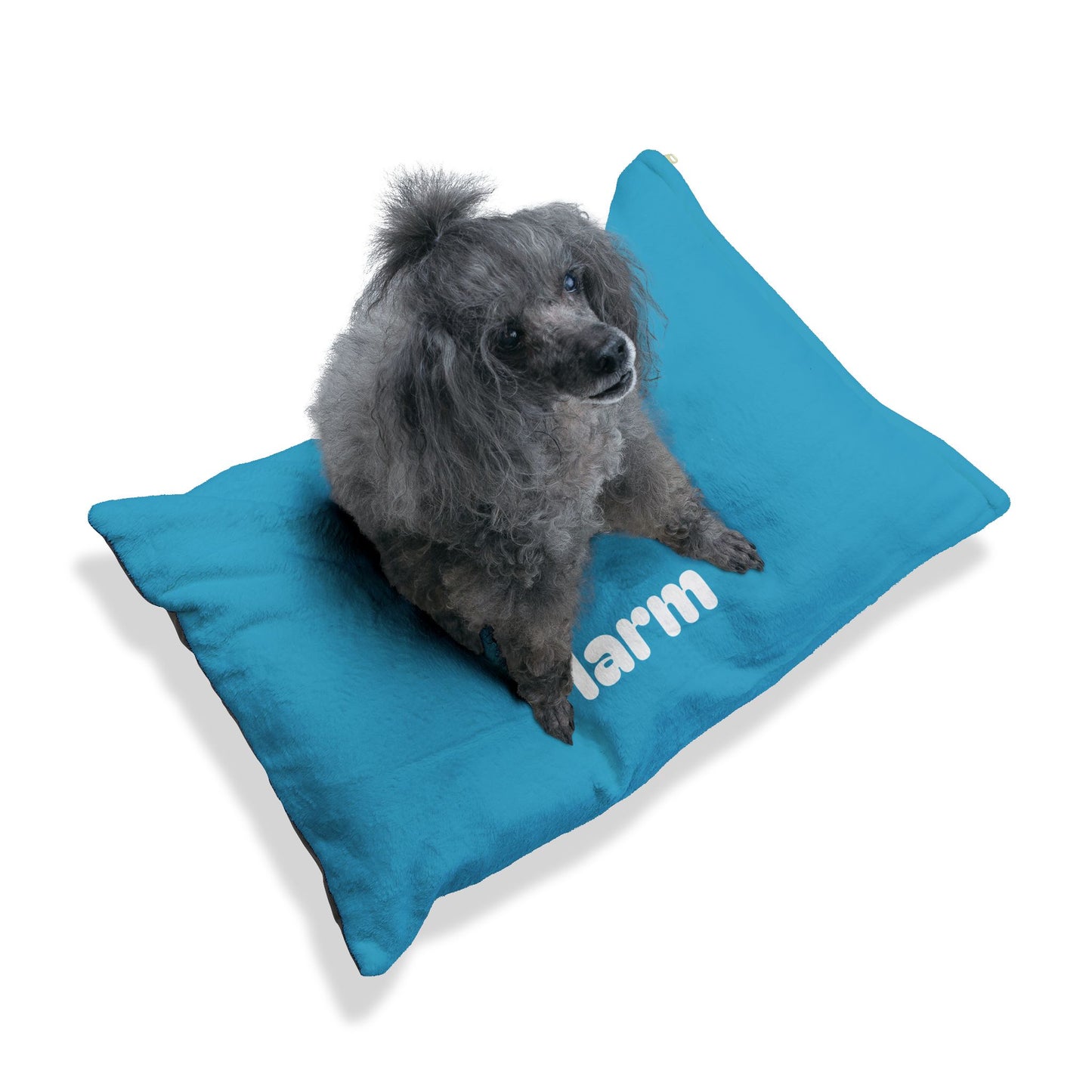 First Do No Harm Bright Blue / White Pet Bed