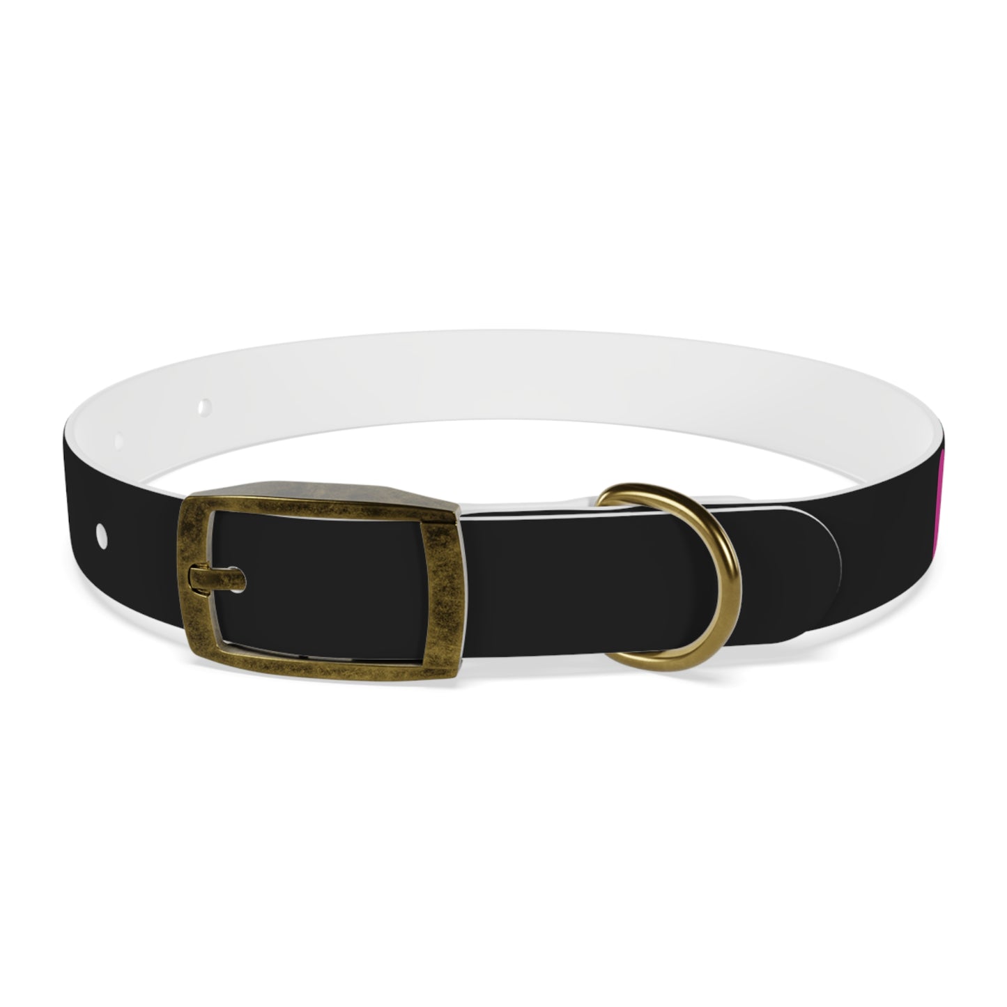 Making The Rounds Black With Pink Dog Collar