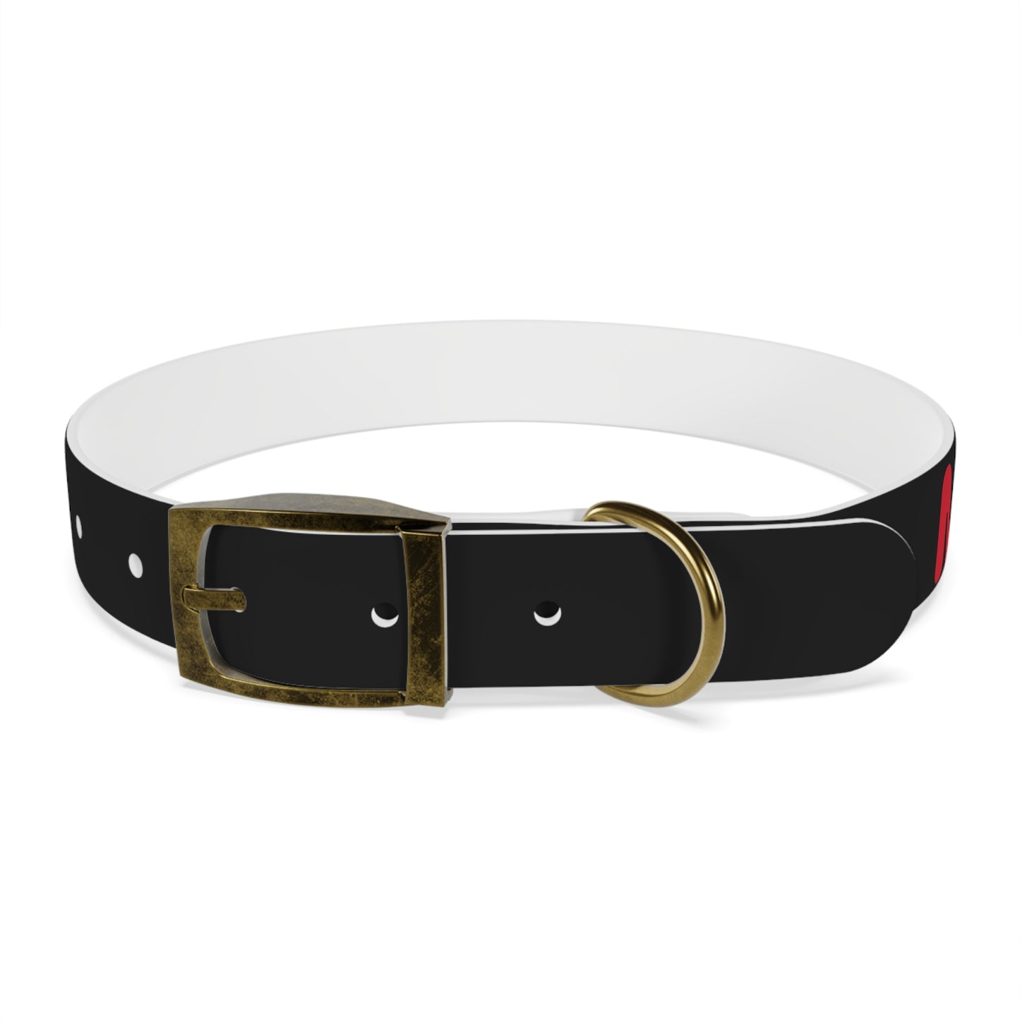 Making The Rounds Black with Red Dog Collar