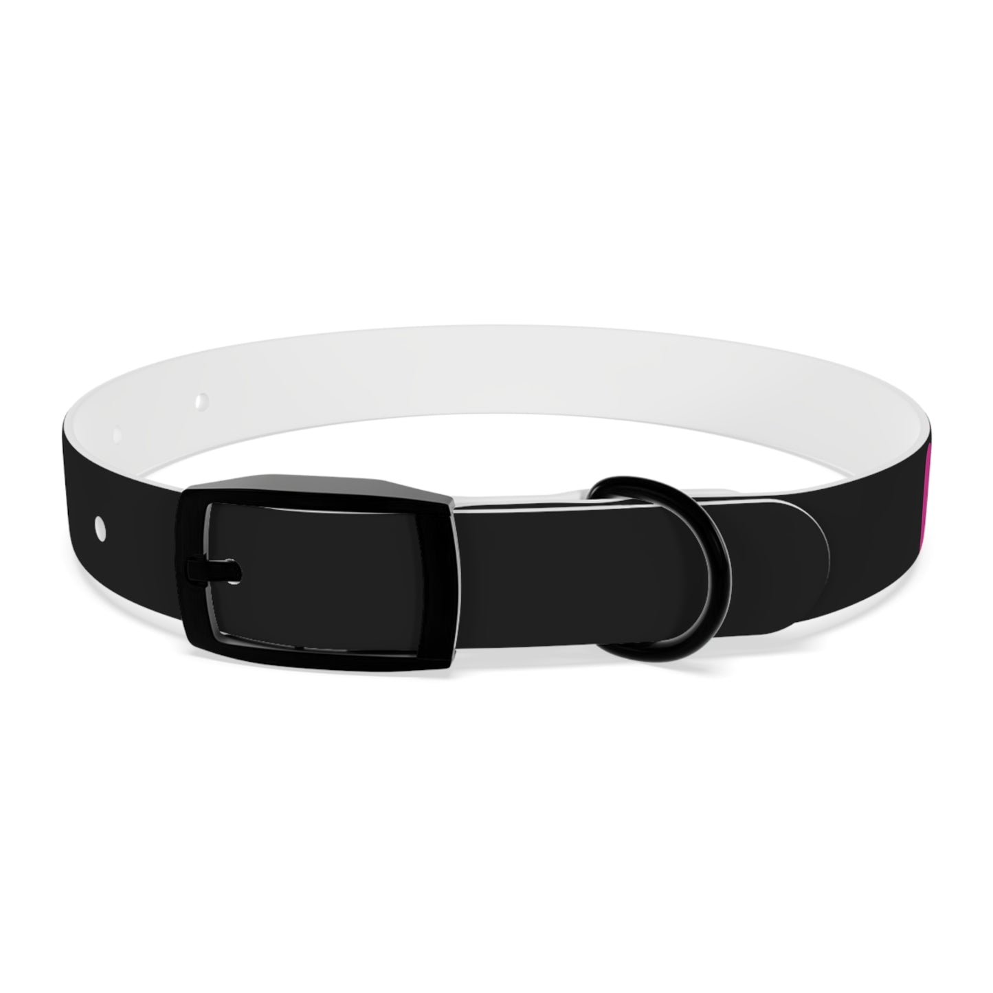 Making The Rounds Black With Pink Dog Collar