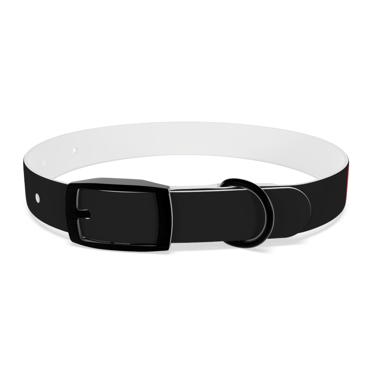 Making The Rounds Black with Red Dog Collar