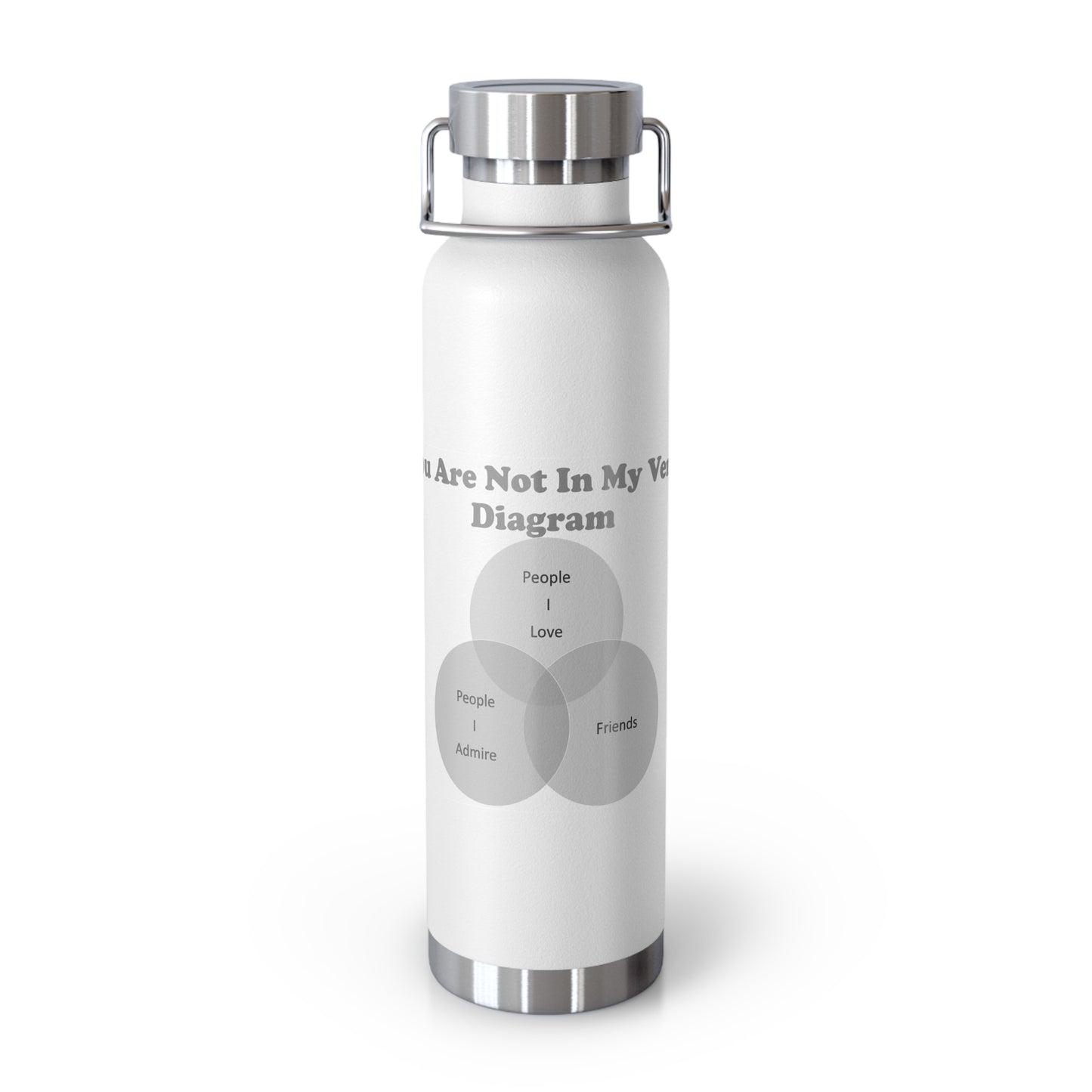 You Are Not In My Venn Diagram Grey Copper Vacuum Insulated Bottle, 22oz