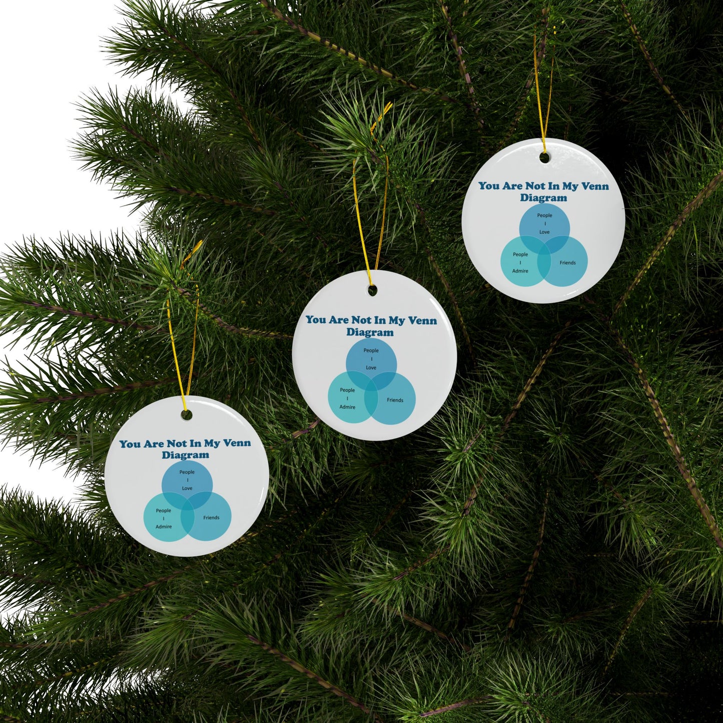 You Are Not In My Venn Diagram Blue Ceramic Ornaments, 2-Side Print, (1pc, 3pcs, 5pcs, 10pcs)