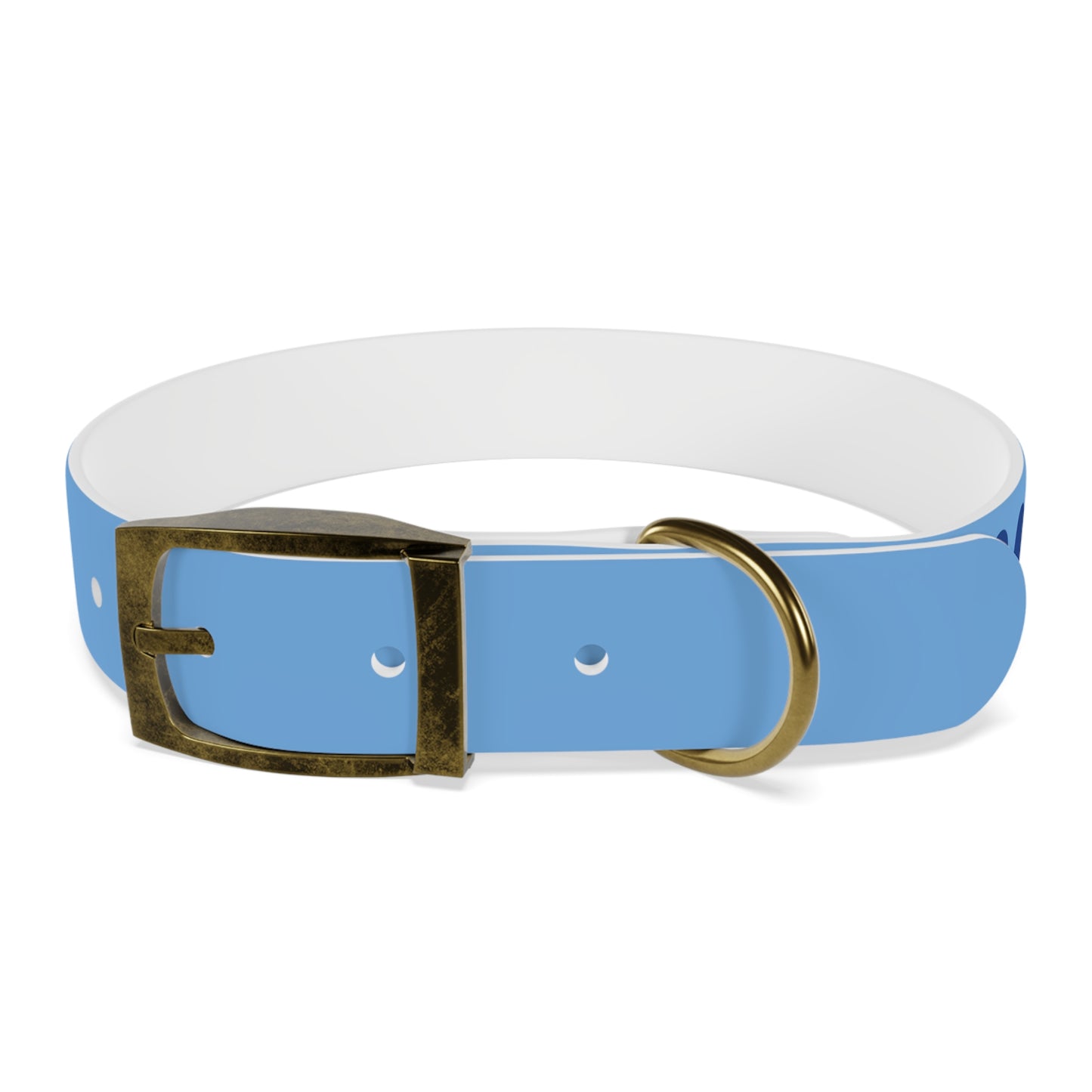 Making The Rounds -- Blue Dog Collar