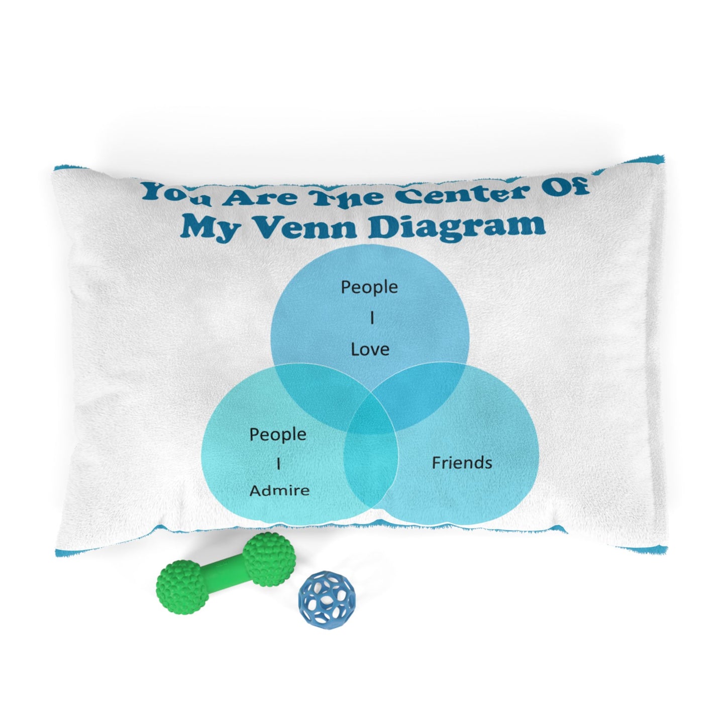 You Are The Center Of My Venn Diagram Bright Blue Pet Bed