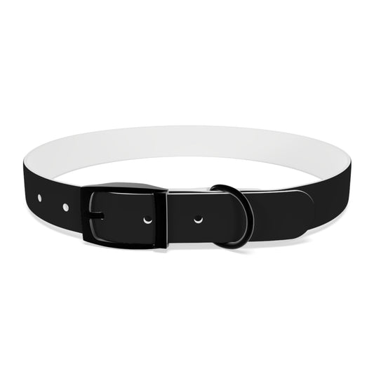 Making The Rounds Black With Blue Dog Collar