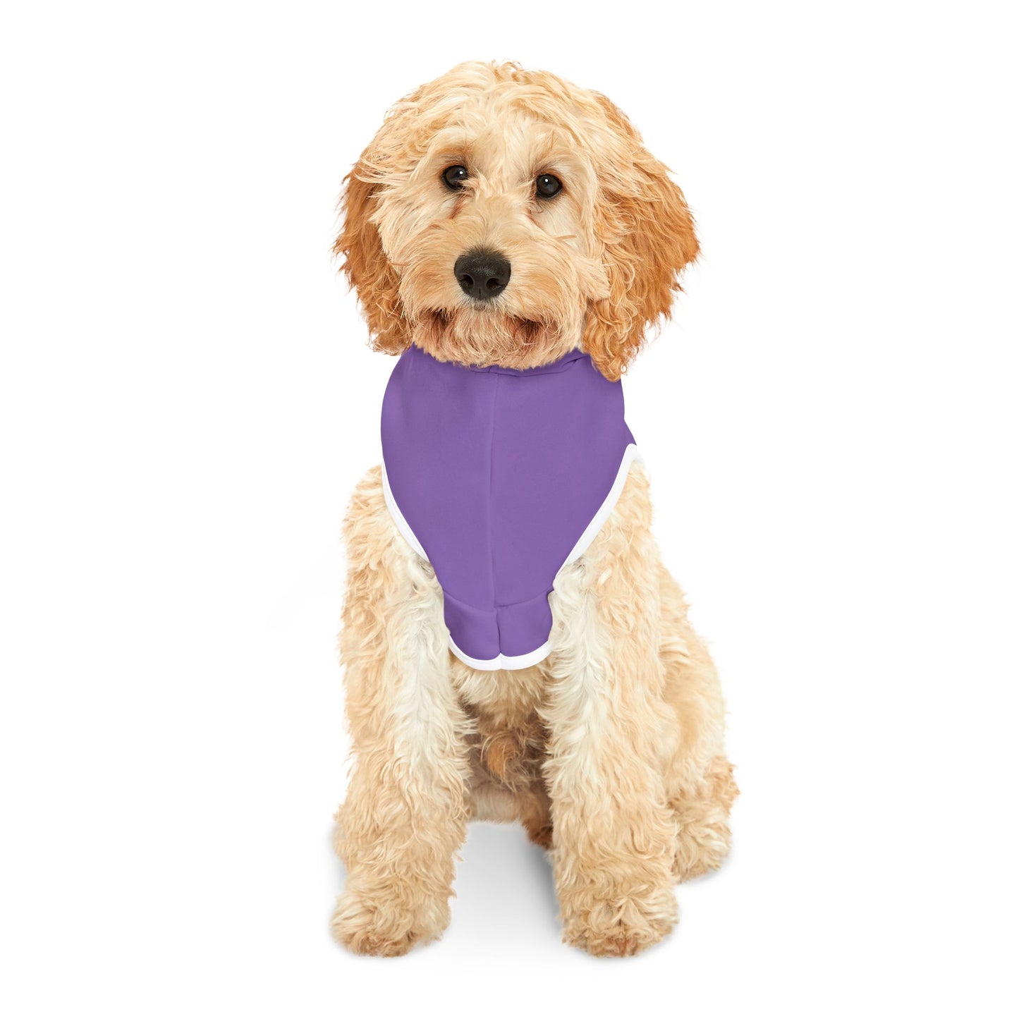 Making The Rounds Purple / Purple Pet Hoodie