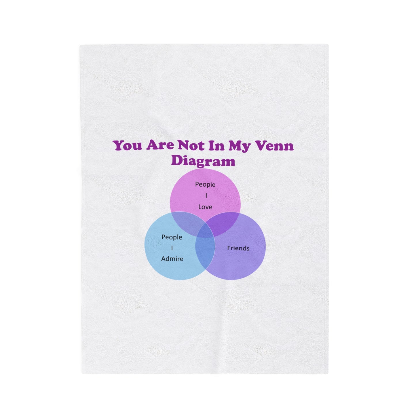 You Are Not In My Venn Diagram Blue / Purple Plush Blanket