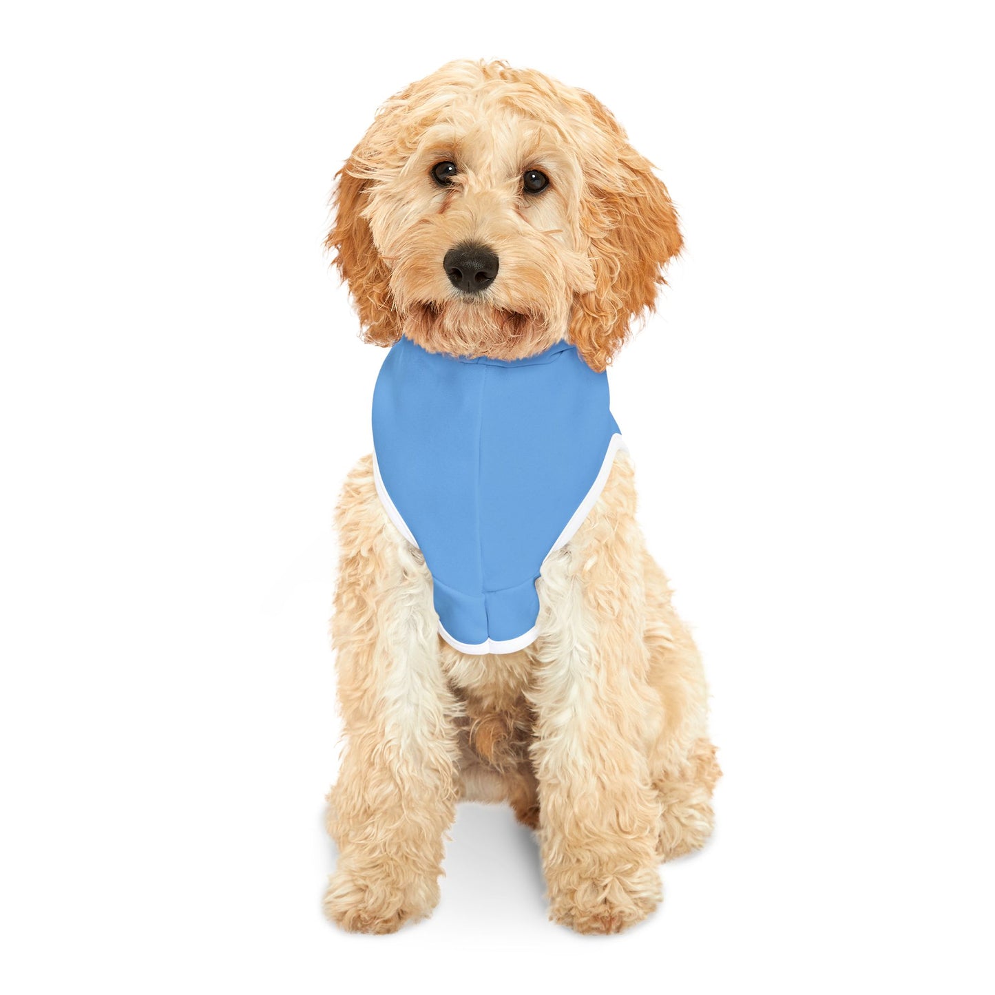 Making The Rounds Blue / Blue Pet Hoodie