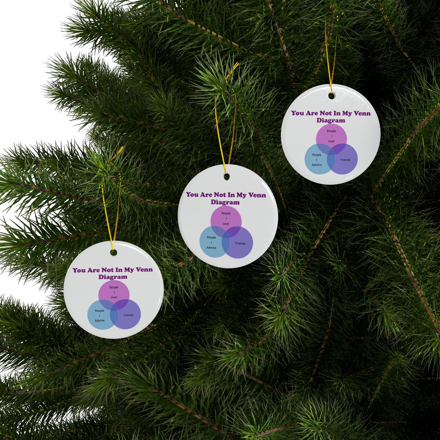 You Are Not In My Venn Diagram Blue / Purple Ceramic Ornaments, 2-Side Print, (1pc, 3pcs, 5pcs, 10pcs)