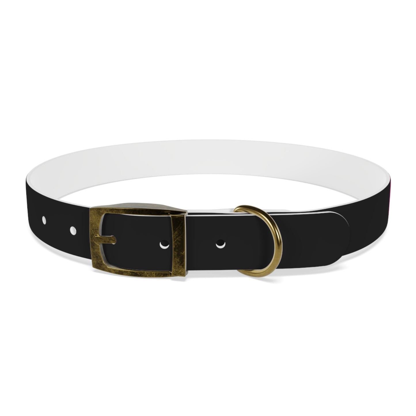 Making The Rounds Black With Pink Dog Collar