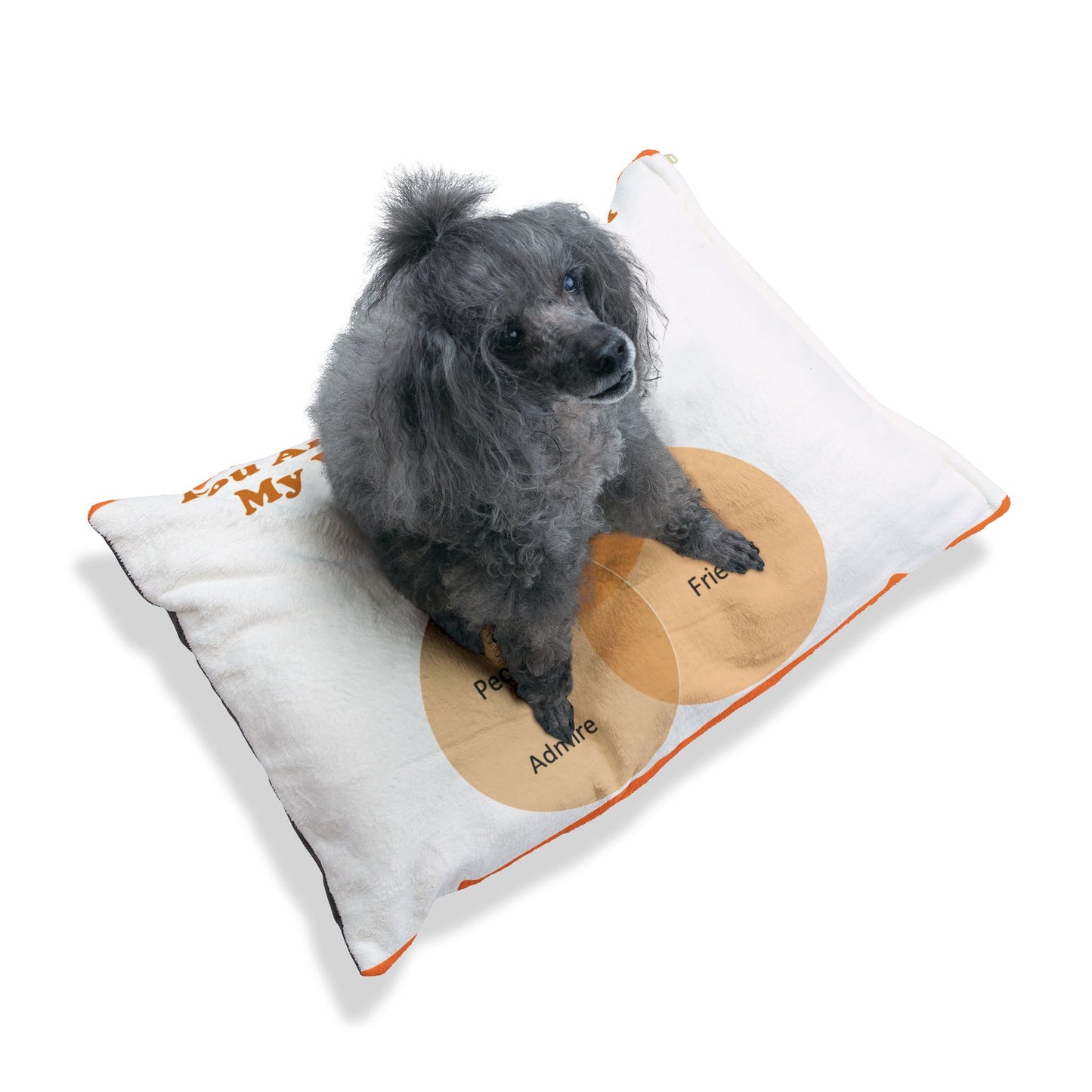 You Are The Center Of My Venn Diagram Orange Pet Bed