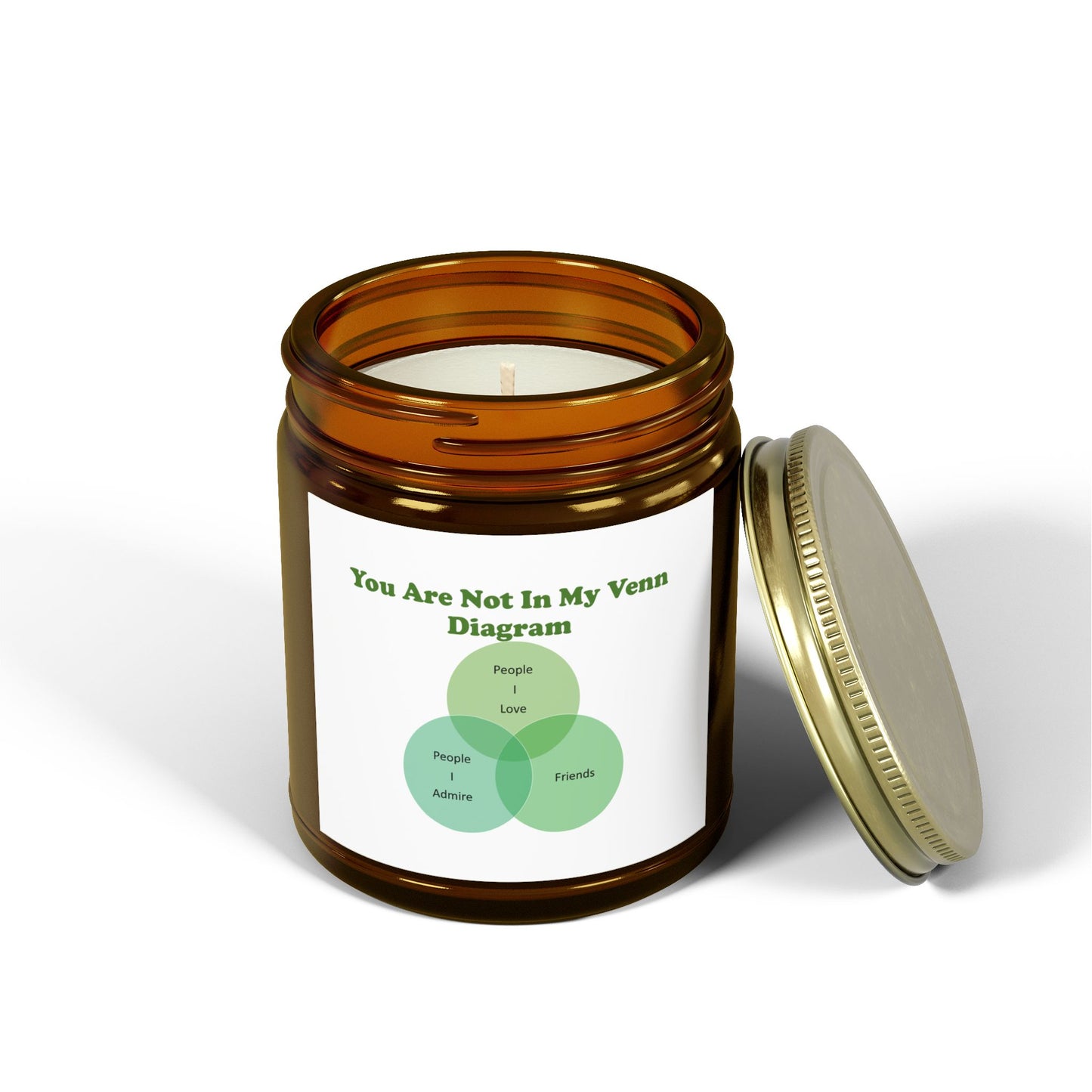 You Are Not In My Venn Diagram Green Scented Candles, Coconut Apricot Wax (4oz, 9oz)