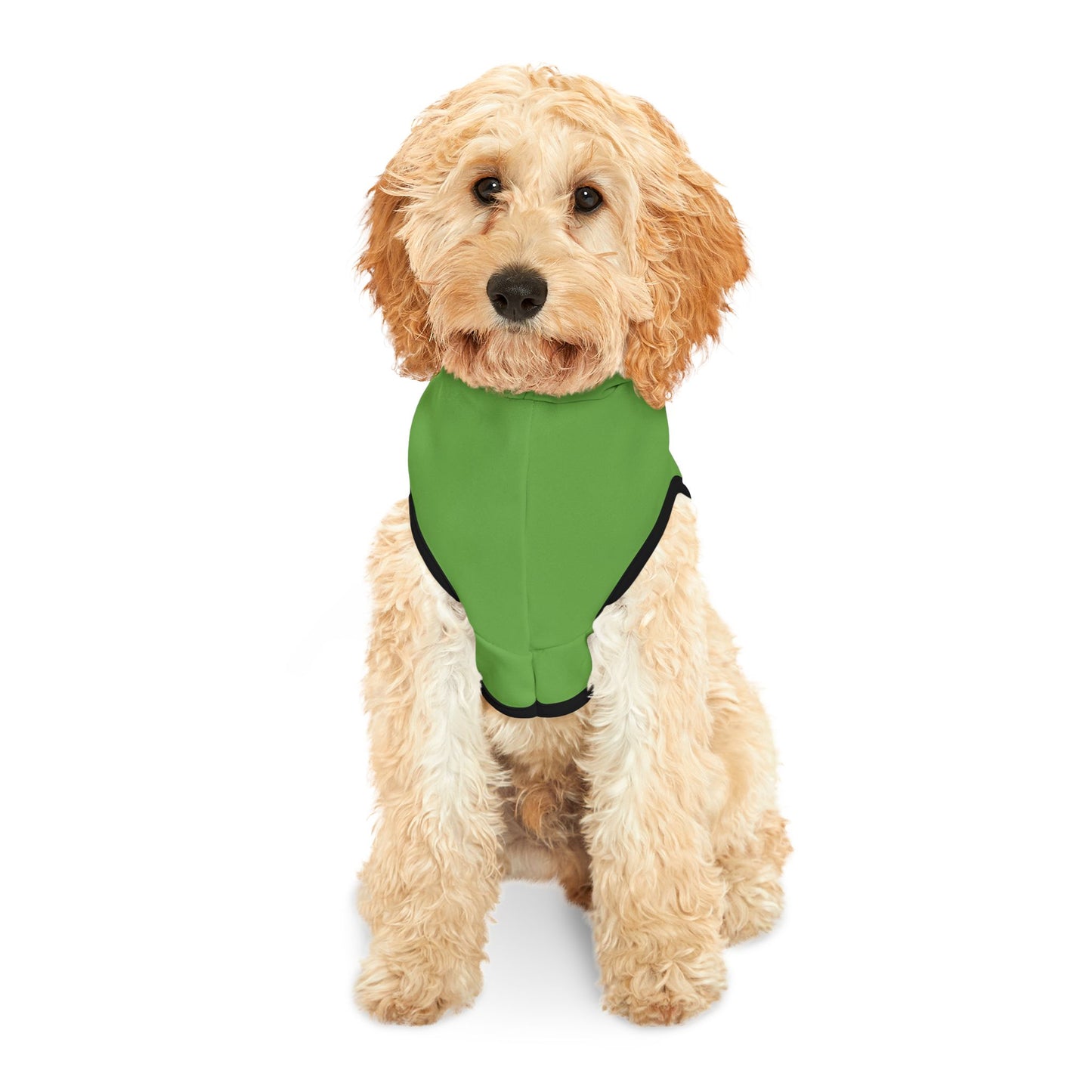 Making The Rounds Green / Green Pet Hoodie