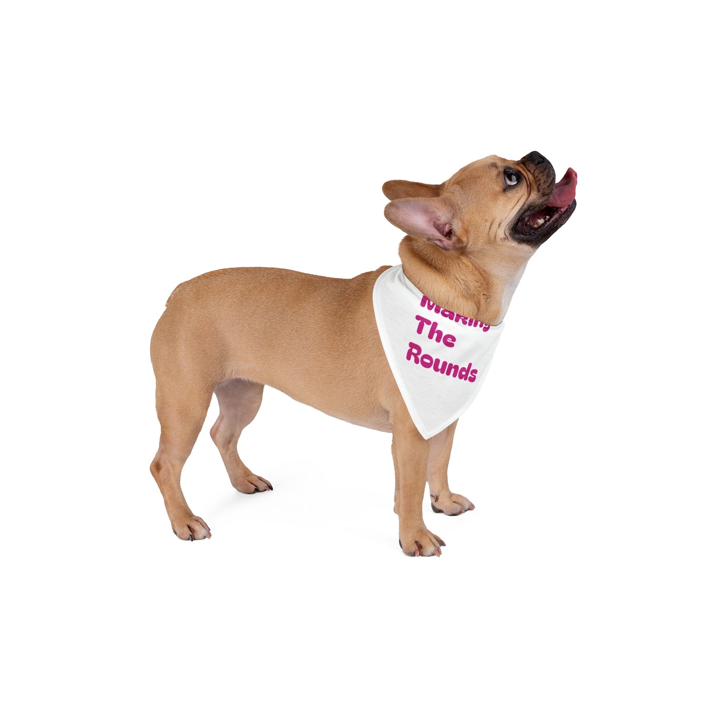 Making The Rounds Pink Pet Bandana