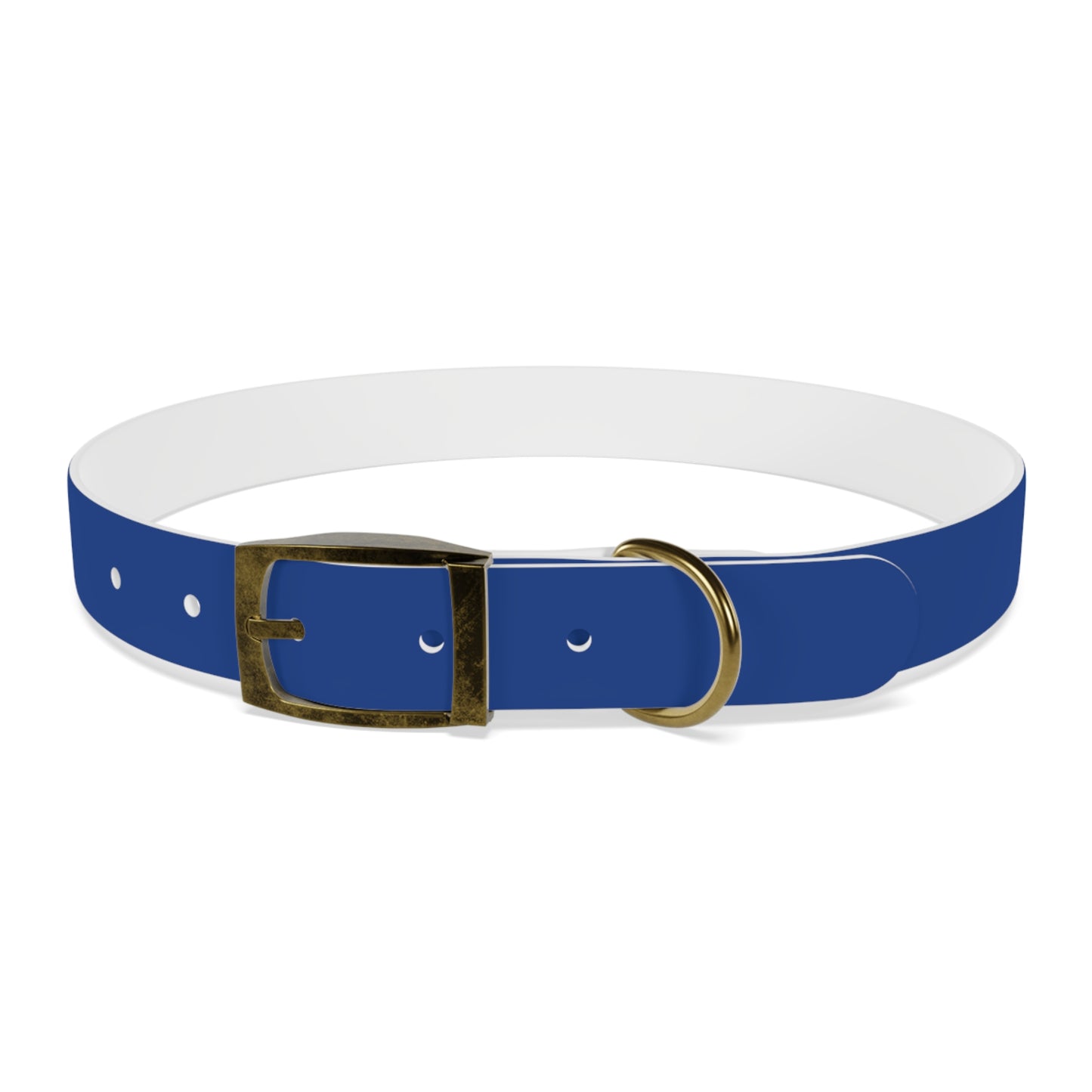 Making The Rounds Light Blue Dog Collar