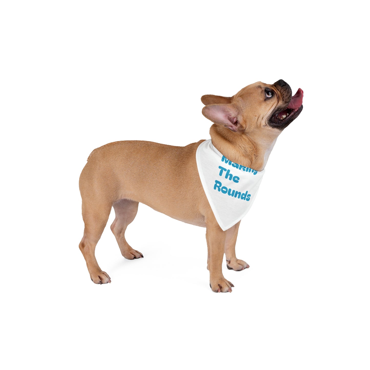 Making The Rounds Blue Pet Bandana