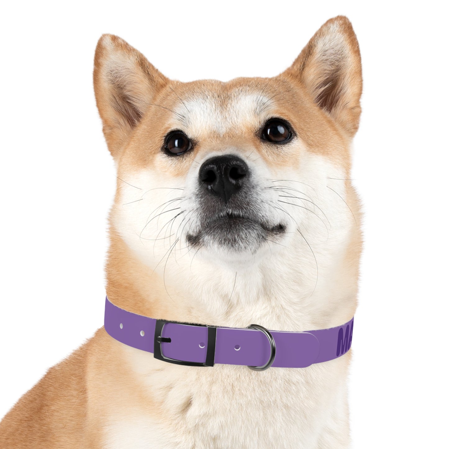 Making The Rounds Purple Dog Collar