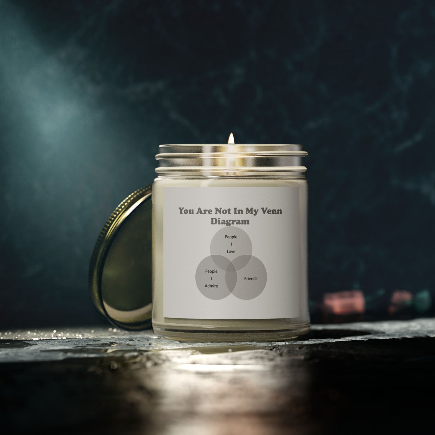 You Are Not In My Venn Diagram black / grey Scented Candles, Coconut Apricot Wax (4oz, 9oz)