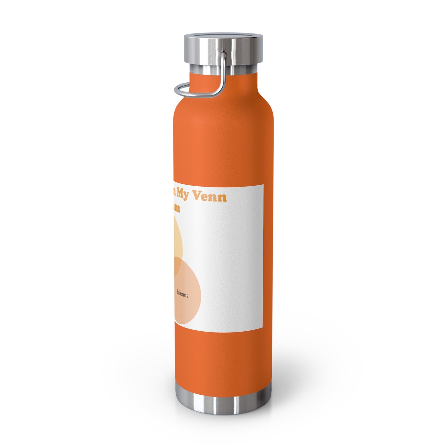 You Are Not In My Venn Diagram Orange Copper Vacuum Insulated Bottle, 22oz