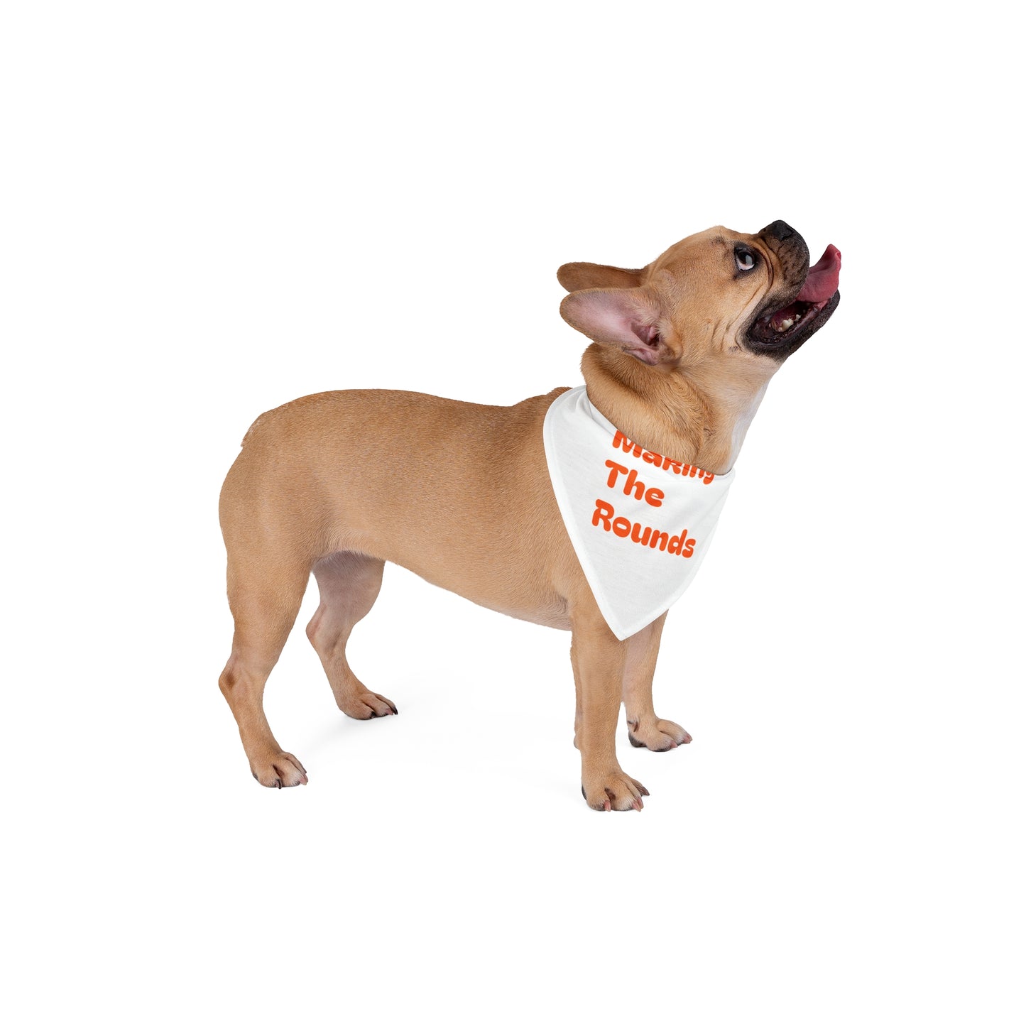 Making The Rounds Orange Pet Bandana