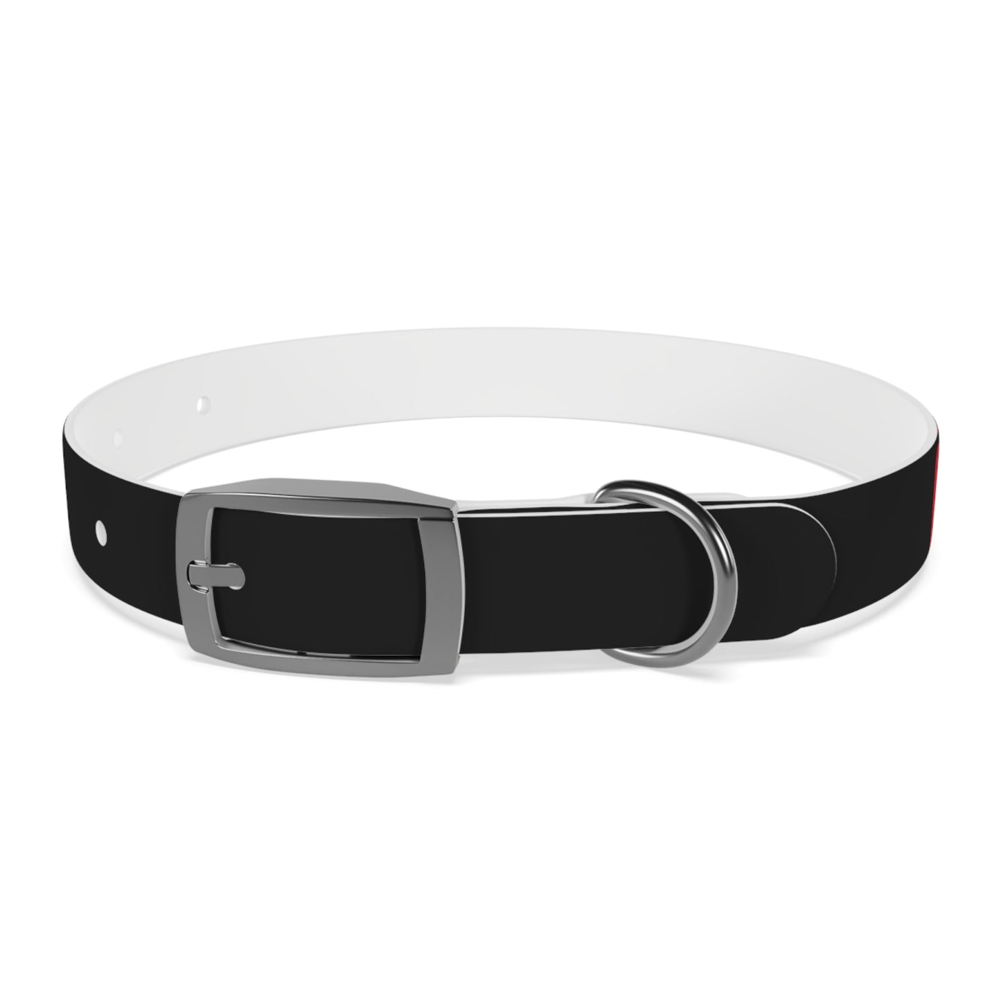 Making The Rounds Black with Red Dog Collar