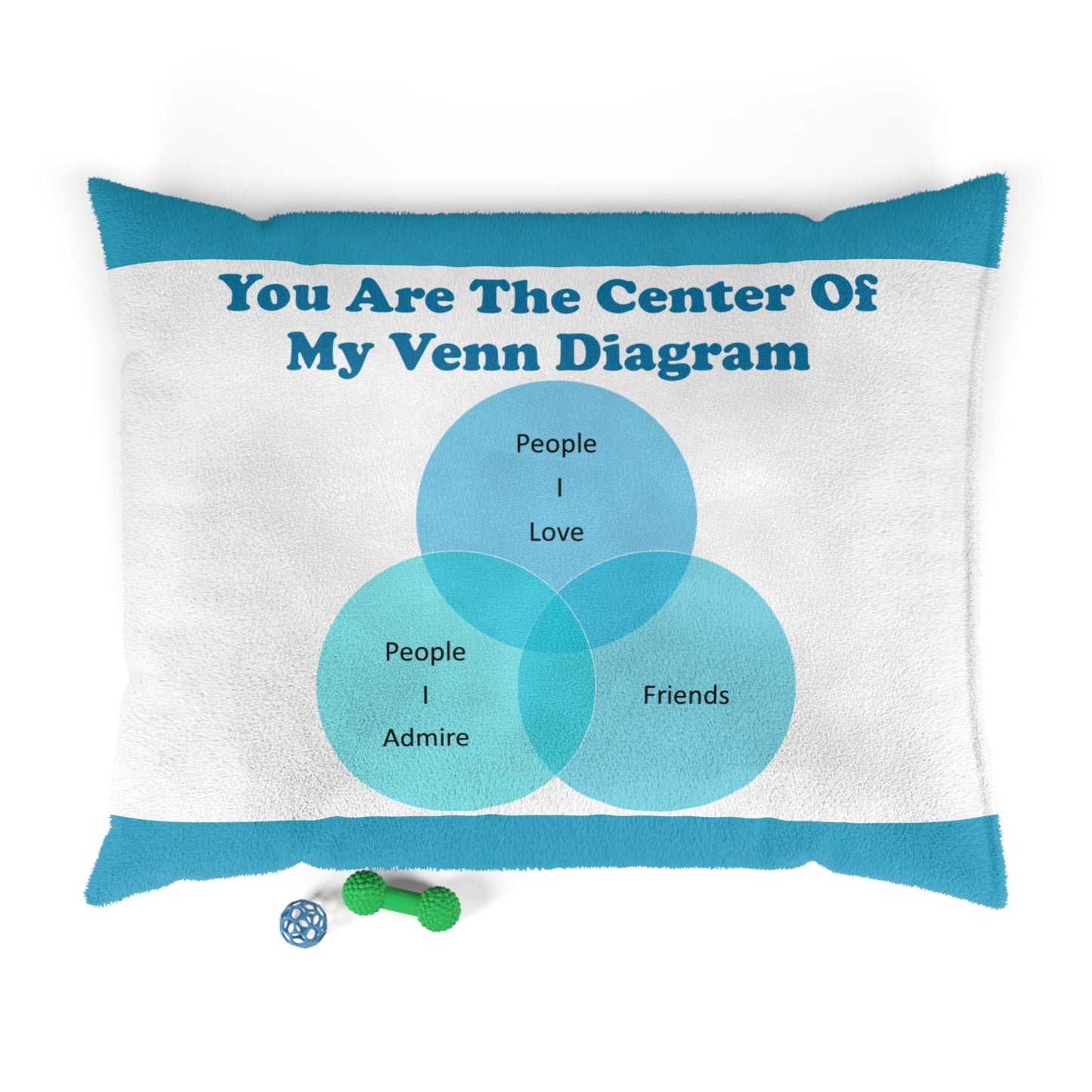 You Are The Center Of My Venn Diagram Bright Blue Pet Bed