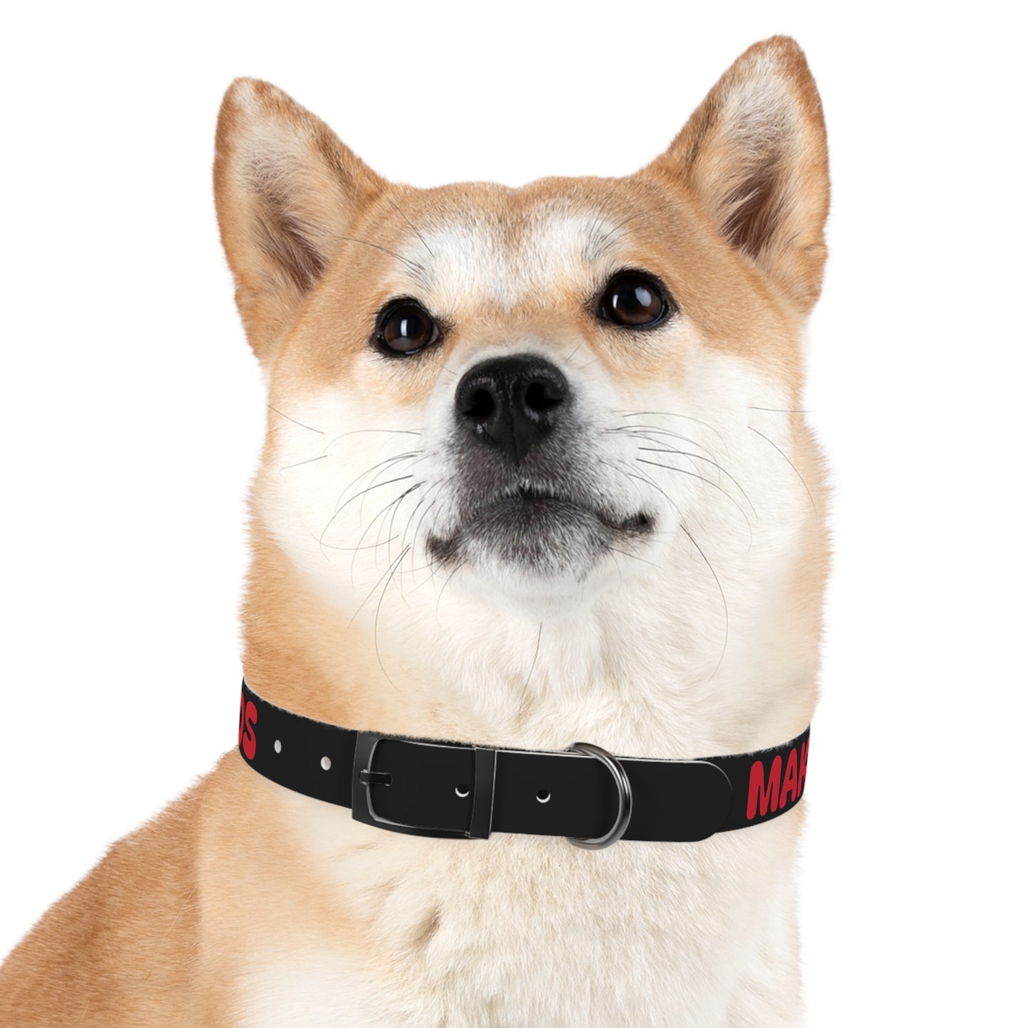 Making The Rounds Black with Red Dog Collar