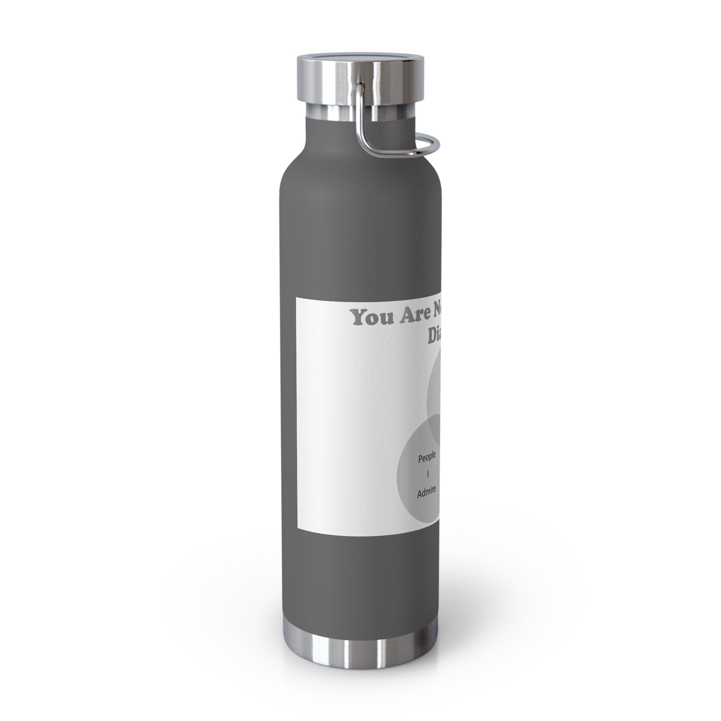 You Are Not In My Venn Diagram Grey Copper Vacuum Insulated Bottle, 22oz