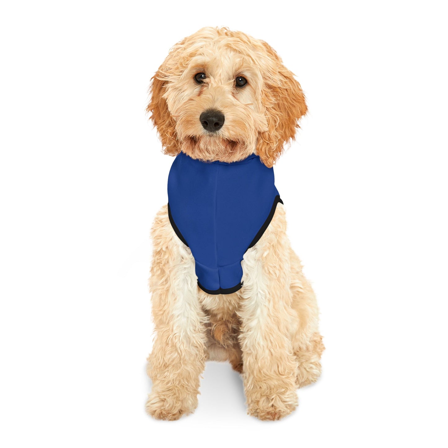 Making The Rounds Blue / Blue Pet Hoodie
