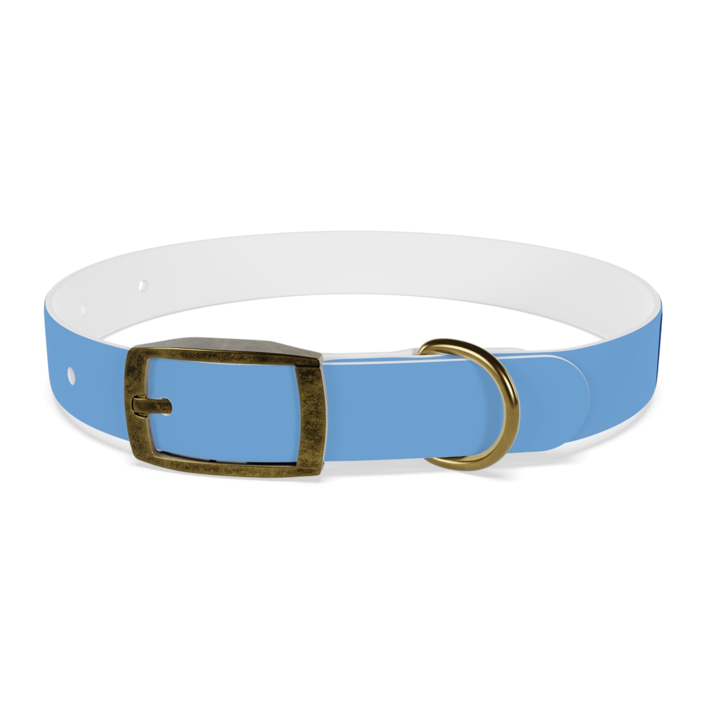 Making The Rounds -- Blue Dog Collar