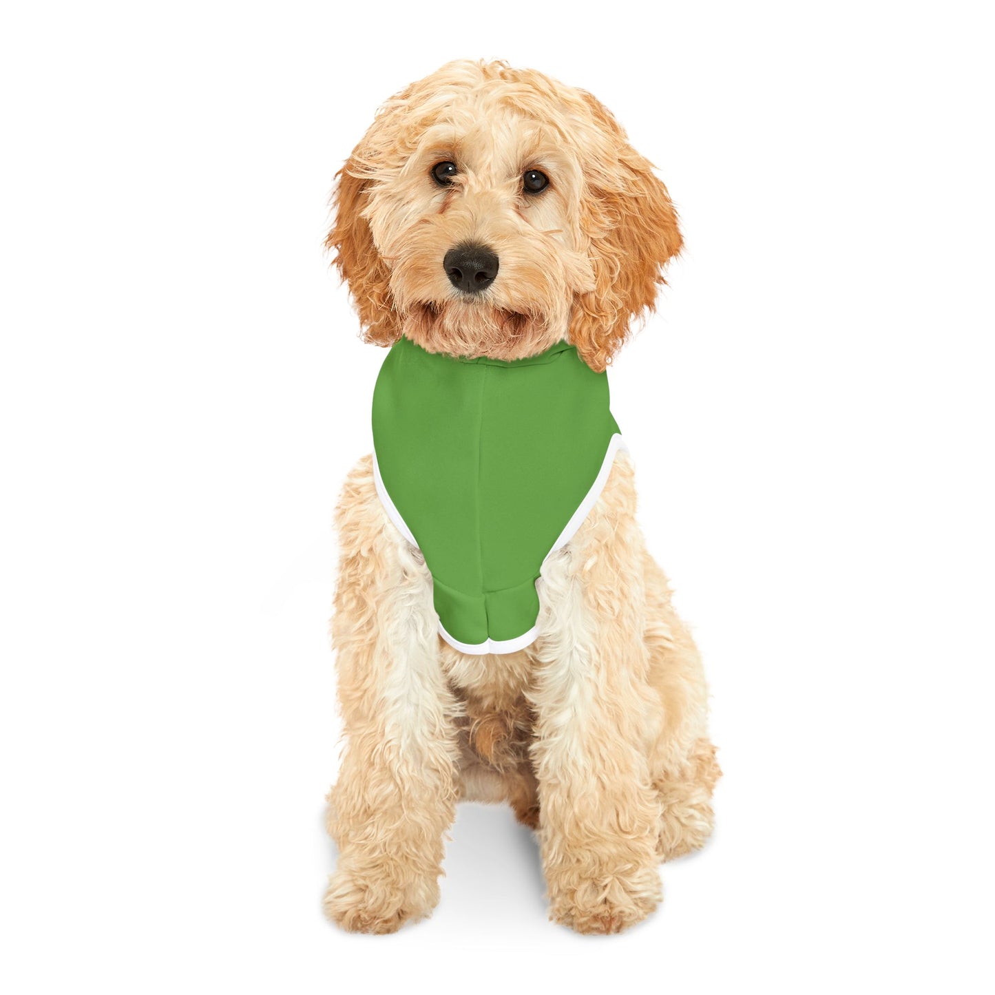 Making The Rounds Green / Green Pet Hoodie