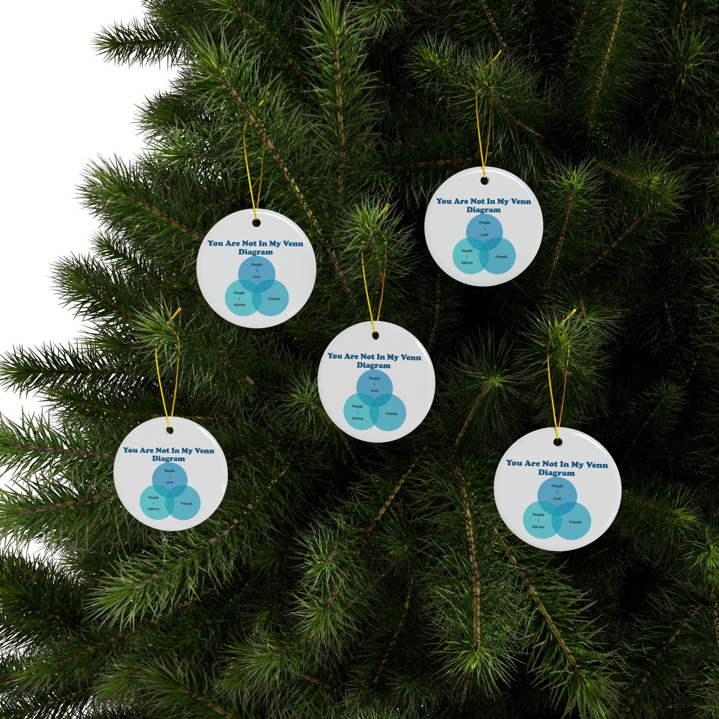 You Are Not In My Venn Diagram Blue Ceramic Ornaments, 2-Side Print, (1pc, 3pcs, 5pcs, 10pcs)