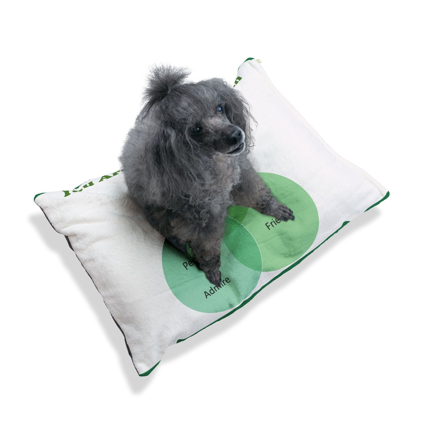 You Are Not In My Venn Diagram Green Pet Bed