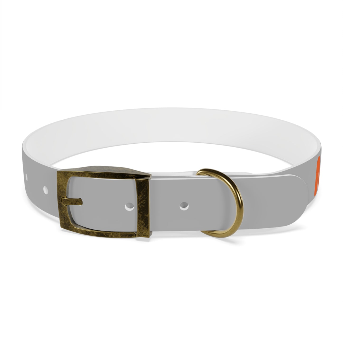 Making The Rounds Grey with Orange Dog Collar