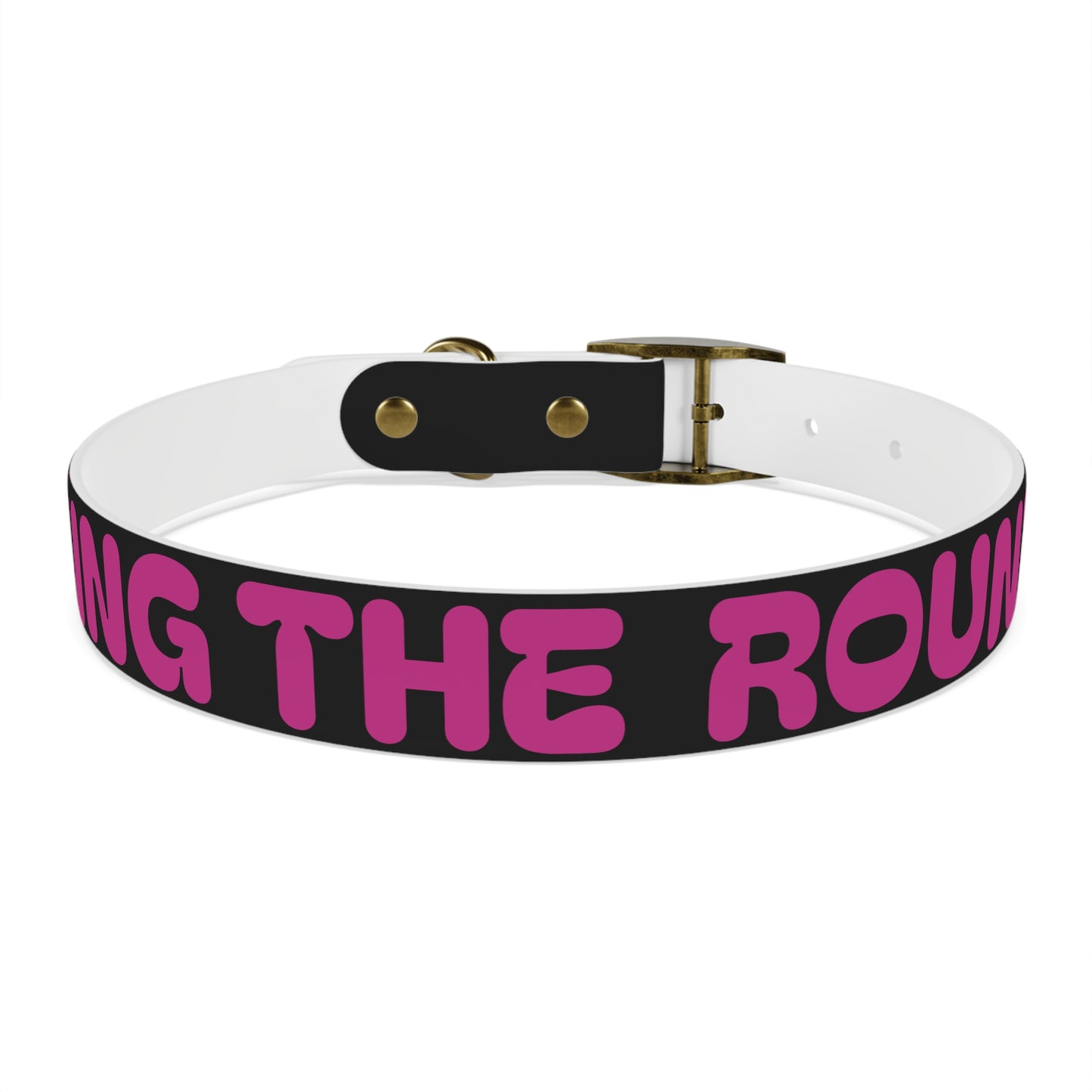 Making The Rounds Black With Pink Dog Collar