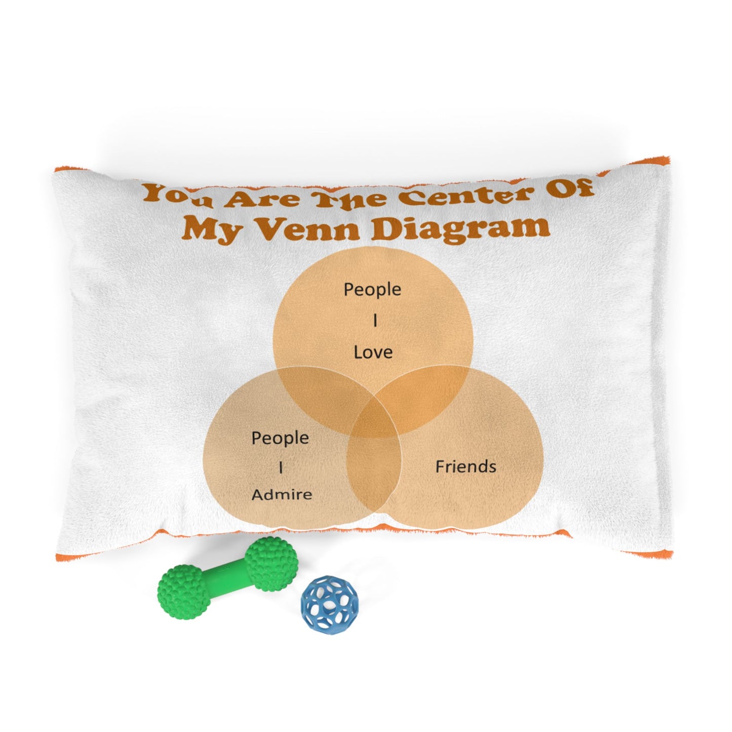 You Are The Center Of My Venn Diagram Orange Pet Bed