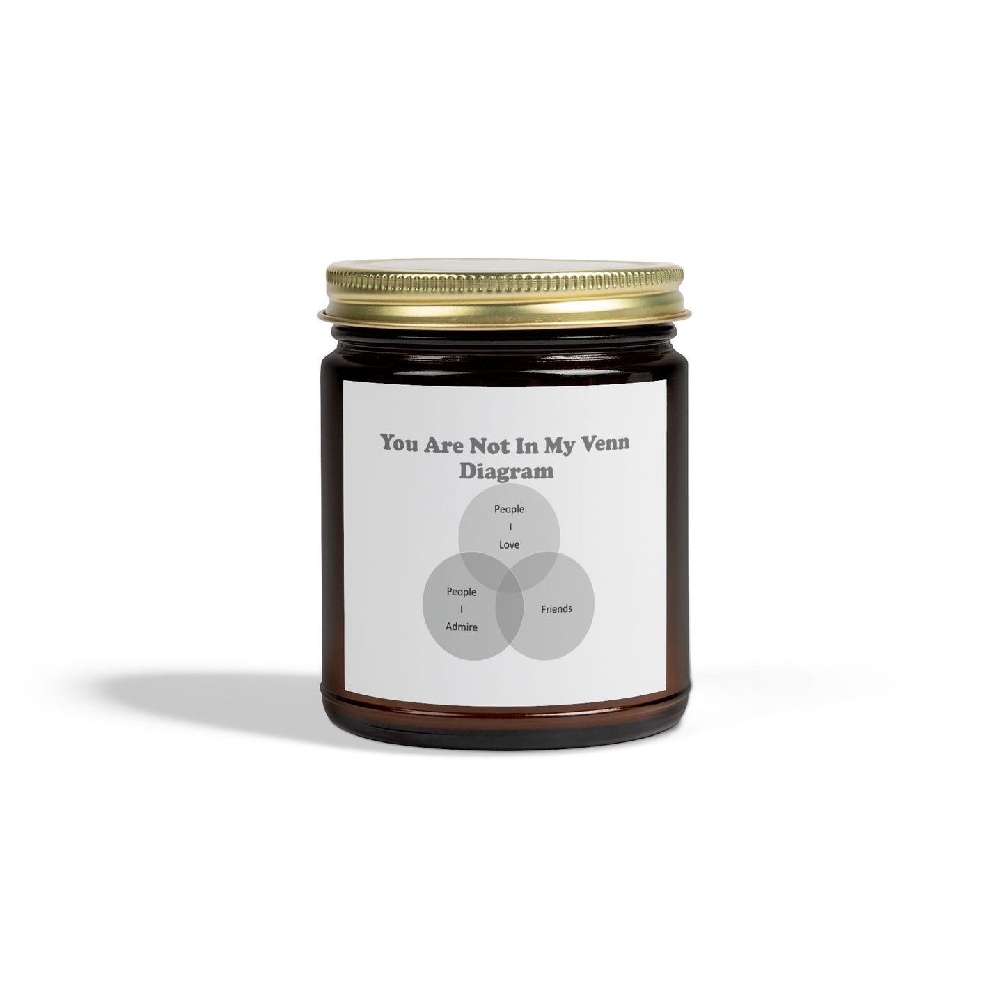 You Are Not In My Venn Diagram black / grey Scented Candles, Coconut Apricot Wax (4oz, 9oz)