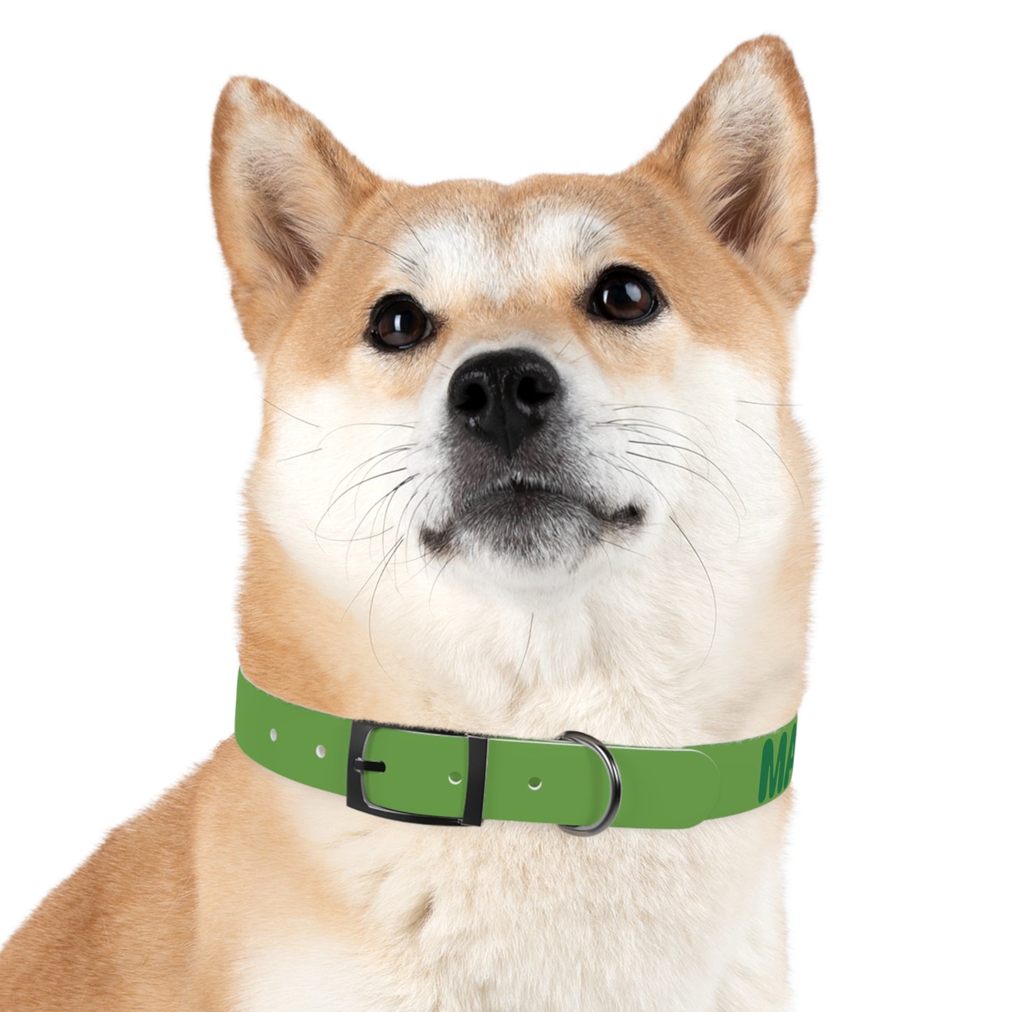 Making The Rounds Green Dog Collar