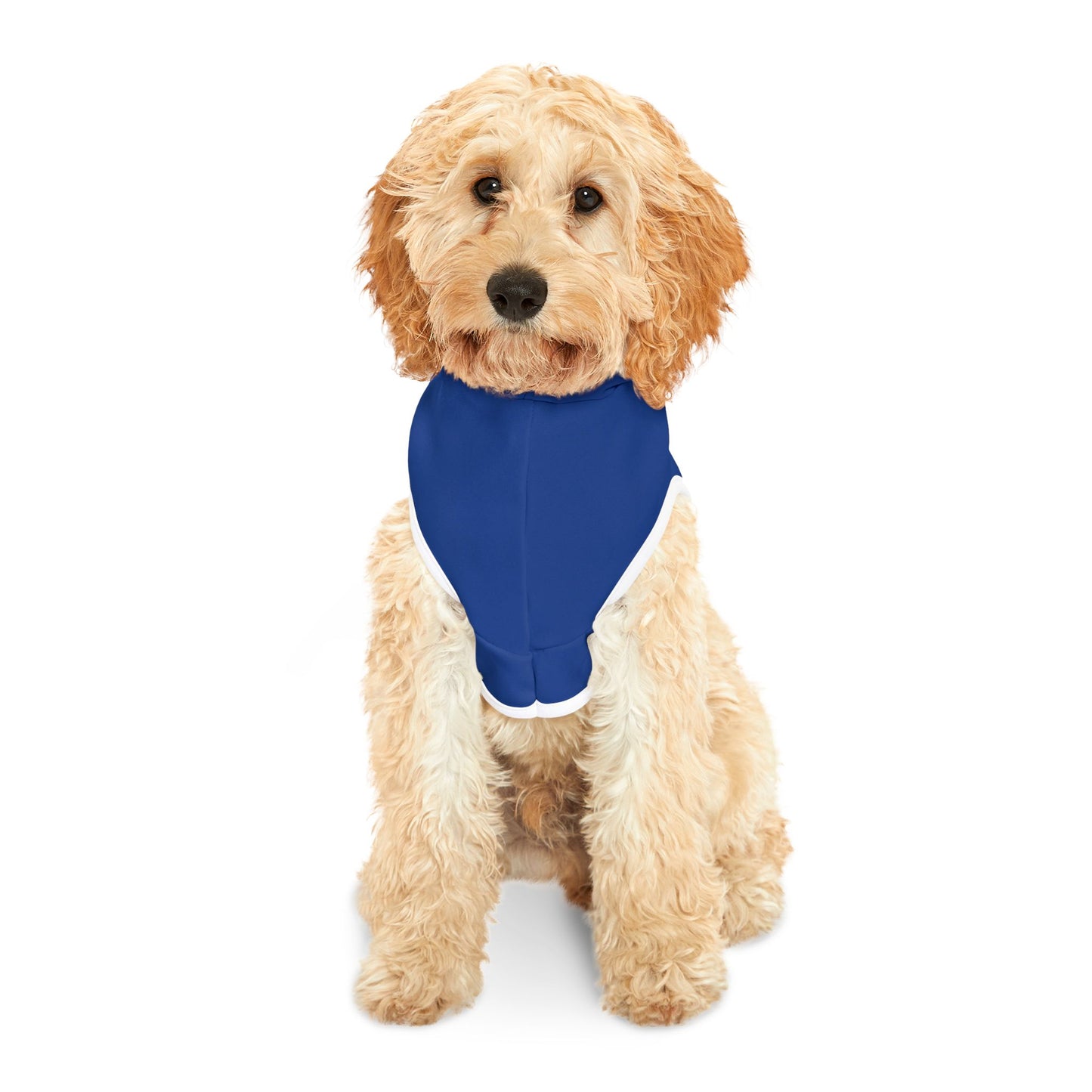 Making The Rounds Blue / Blue Pet Hoodie