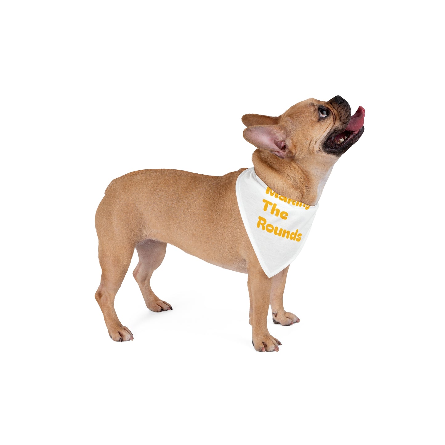 Making The Rounds Yellow Pet Bandana