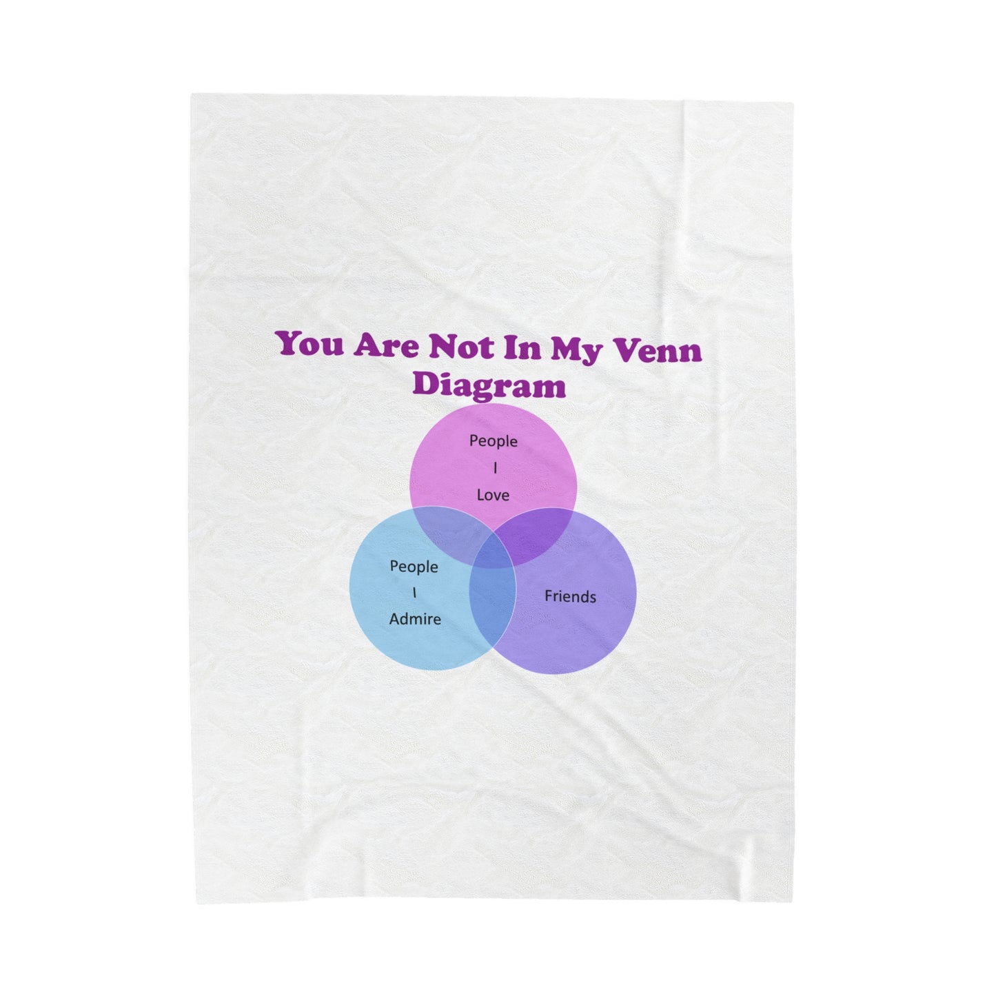 You Are Not In My Venn Diagram Blue / Purple Plush Blanket