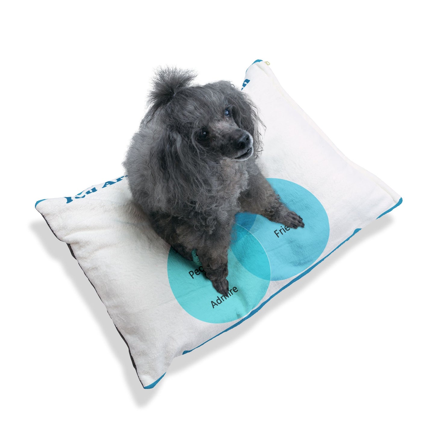 You Are Not In My Venn Diagram Bright Blue Pet Bed