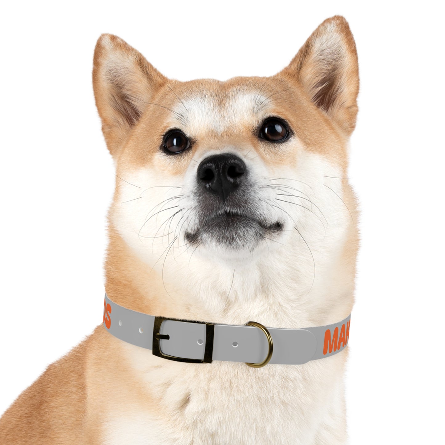 Making The Rounds Grey with Orange Dog Collar