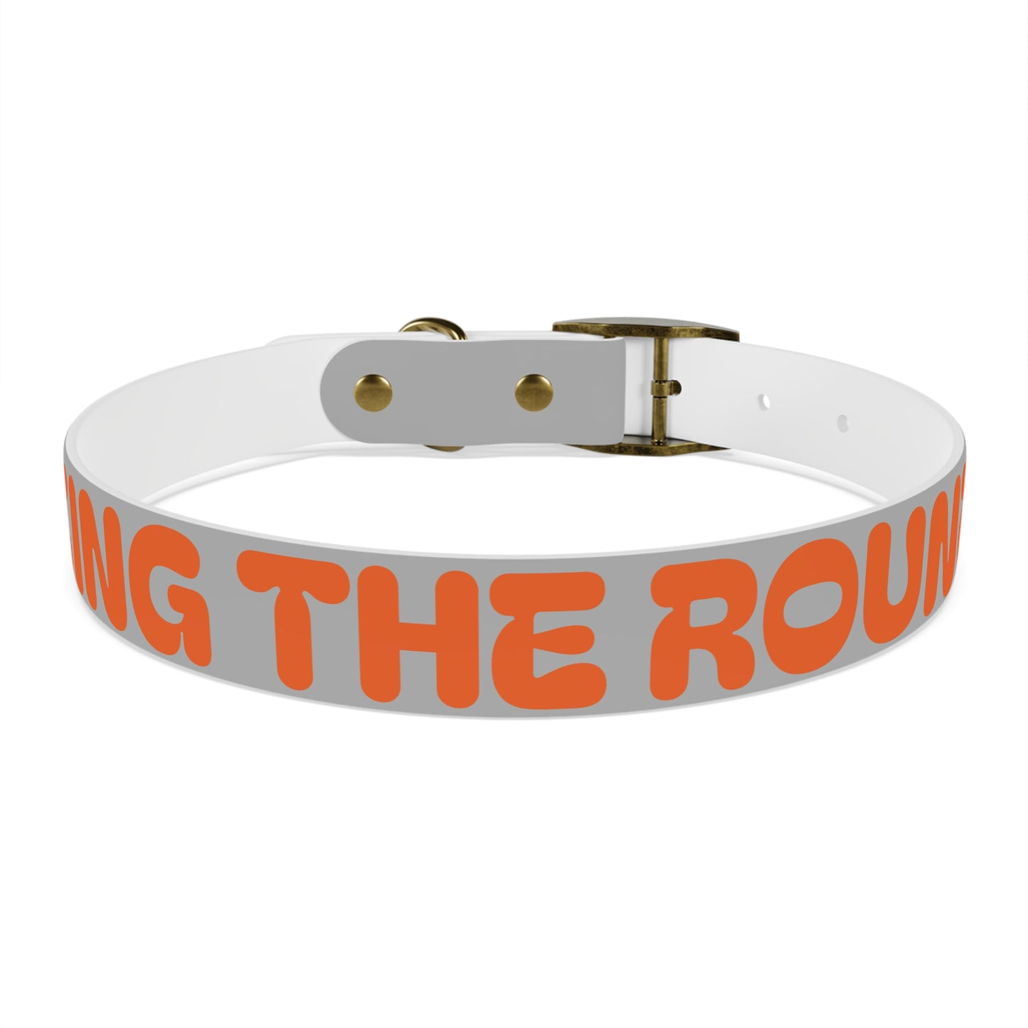 Making The Rounds Grey with Orange Dog Collar