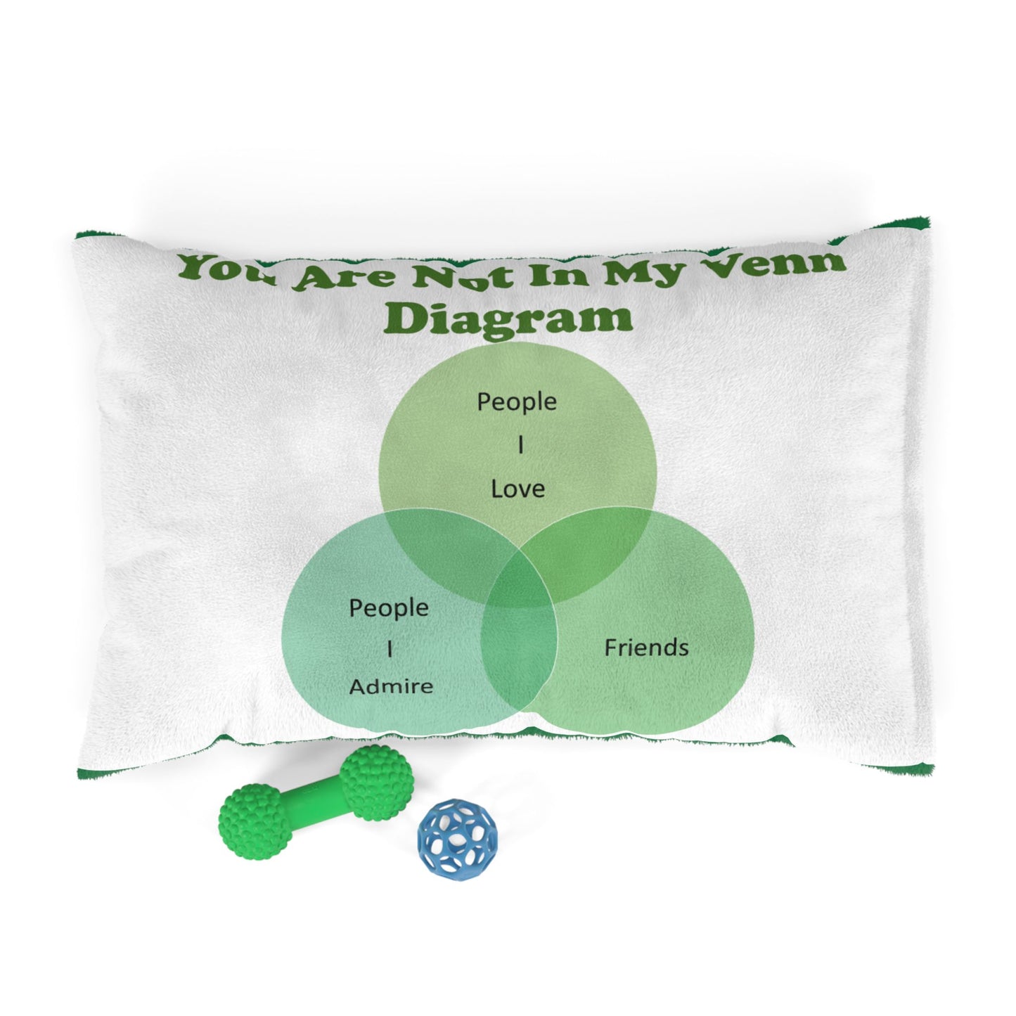 You Are Not In My Venn Diagram Green Pet Bed