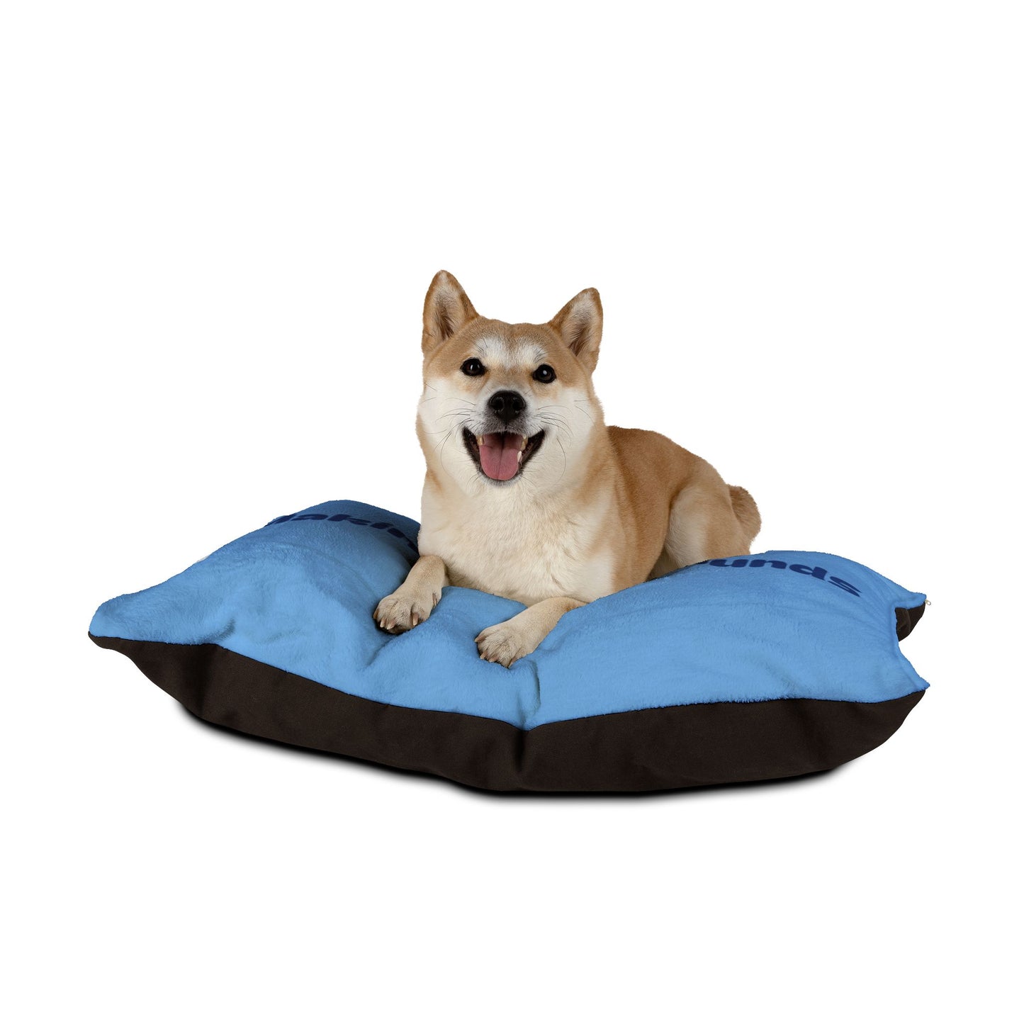 Making The Rounds Light Blue with Dark Blue Pet Bed