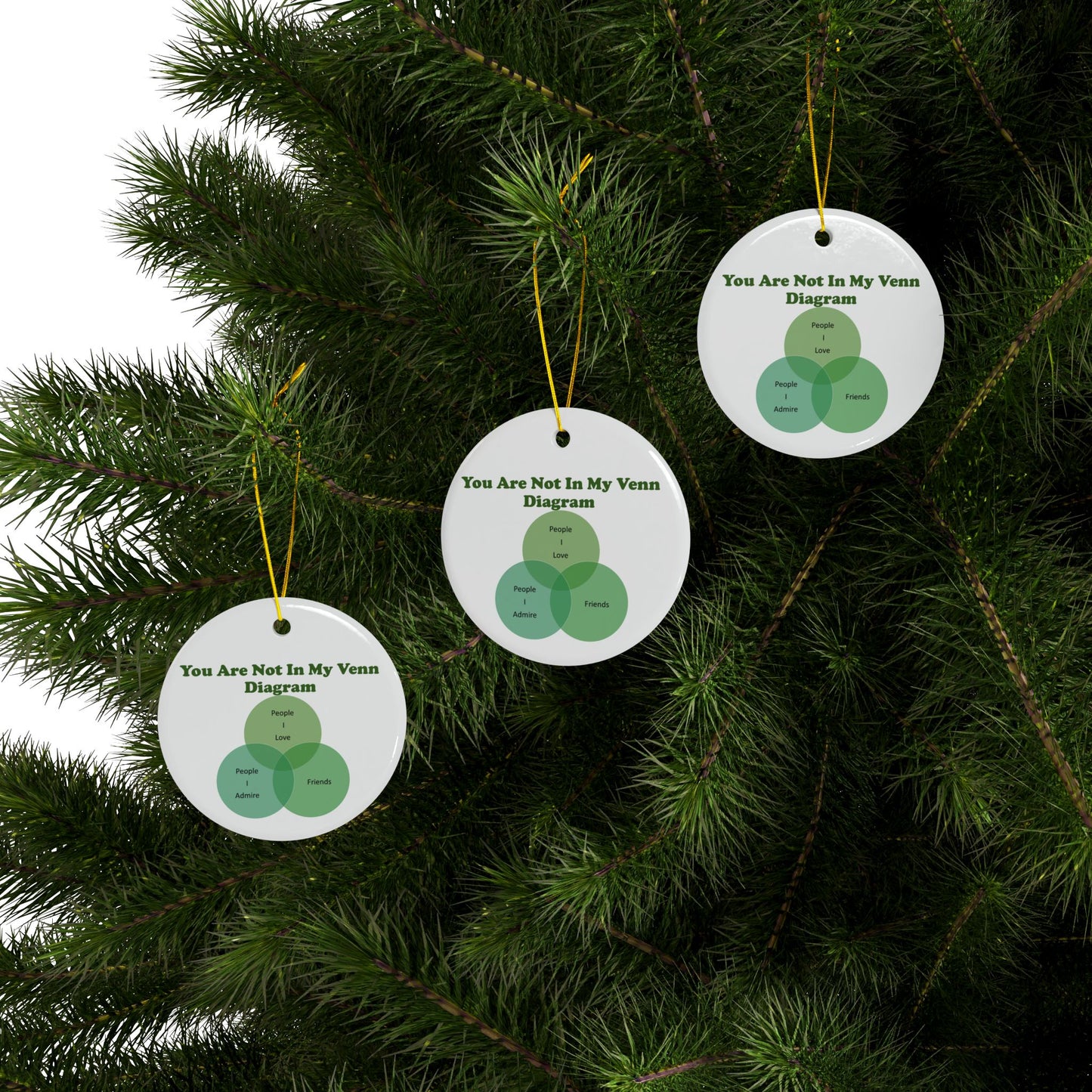 You Are Not In My Venn Diagram Green Ceramic Ornaments, 2-Side Print, (1pc, 3pcs, 5pcs, 10pcs)